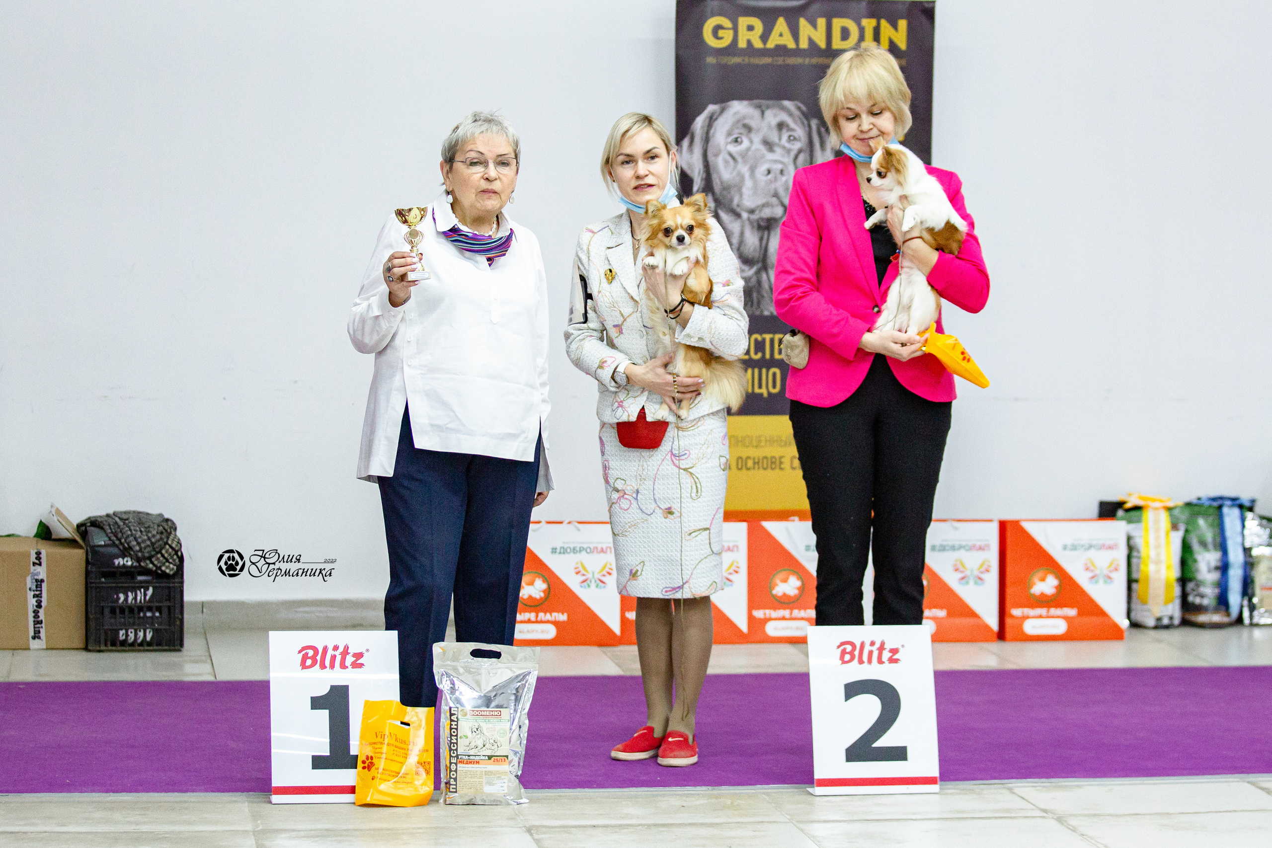 Чайна-Таун 29-30 января 2022. Фотограф-анималист Юлия Германика