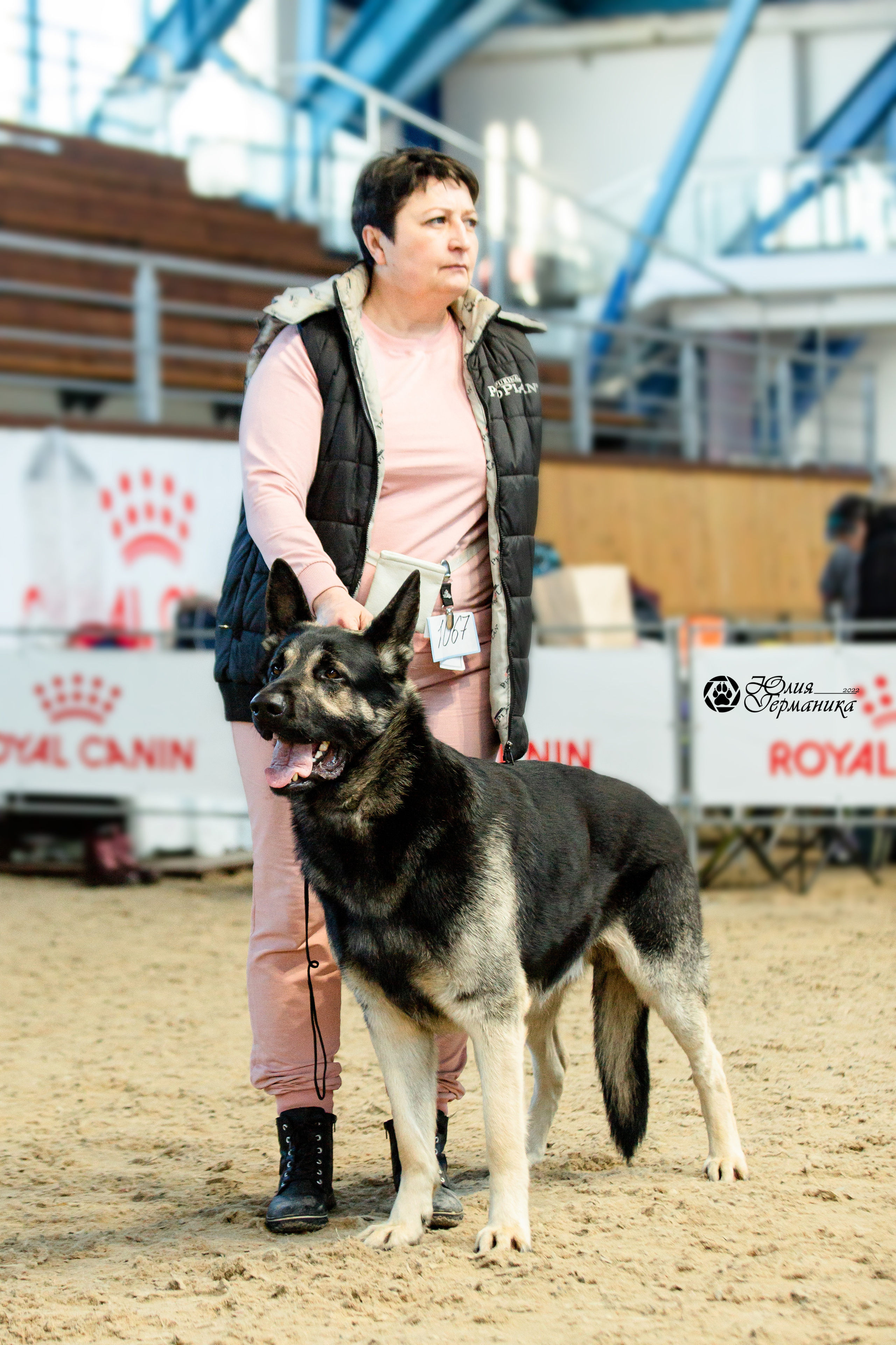 Минск 2хCACIB 5-6 марта 2022. Фотограф-анималист Юлия Германика