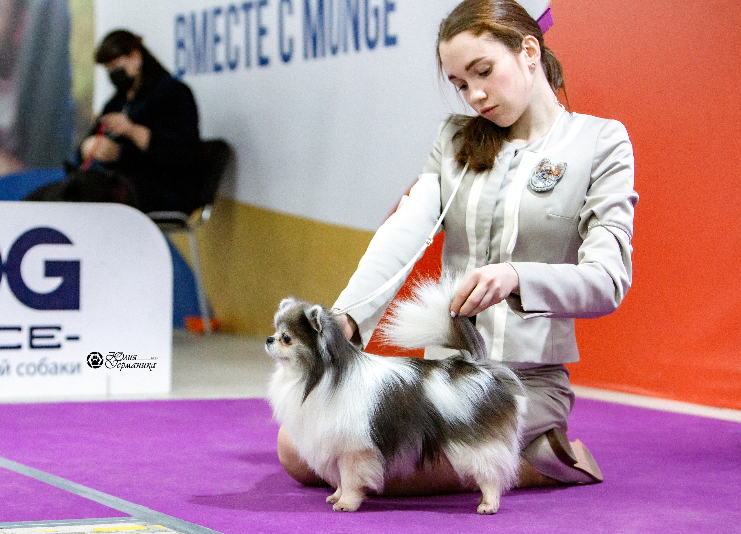 Чайна-Таун 8 января 2022. Фотограф-анималист Юлия Германика