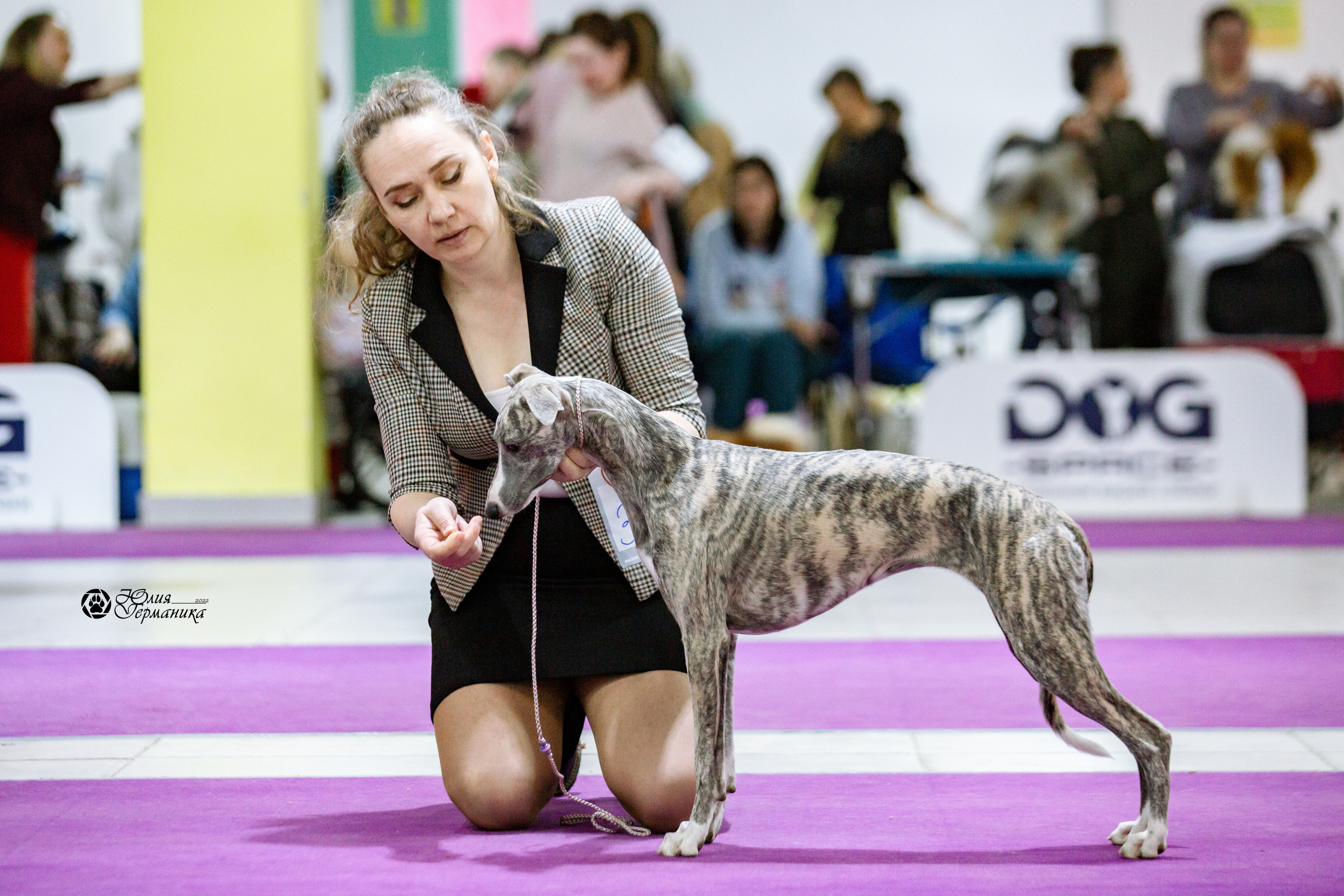 Чайна-Таун 13 и 20 марта 2022. Фотограф-анималист Юлия Германика