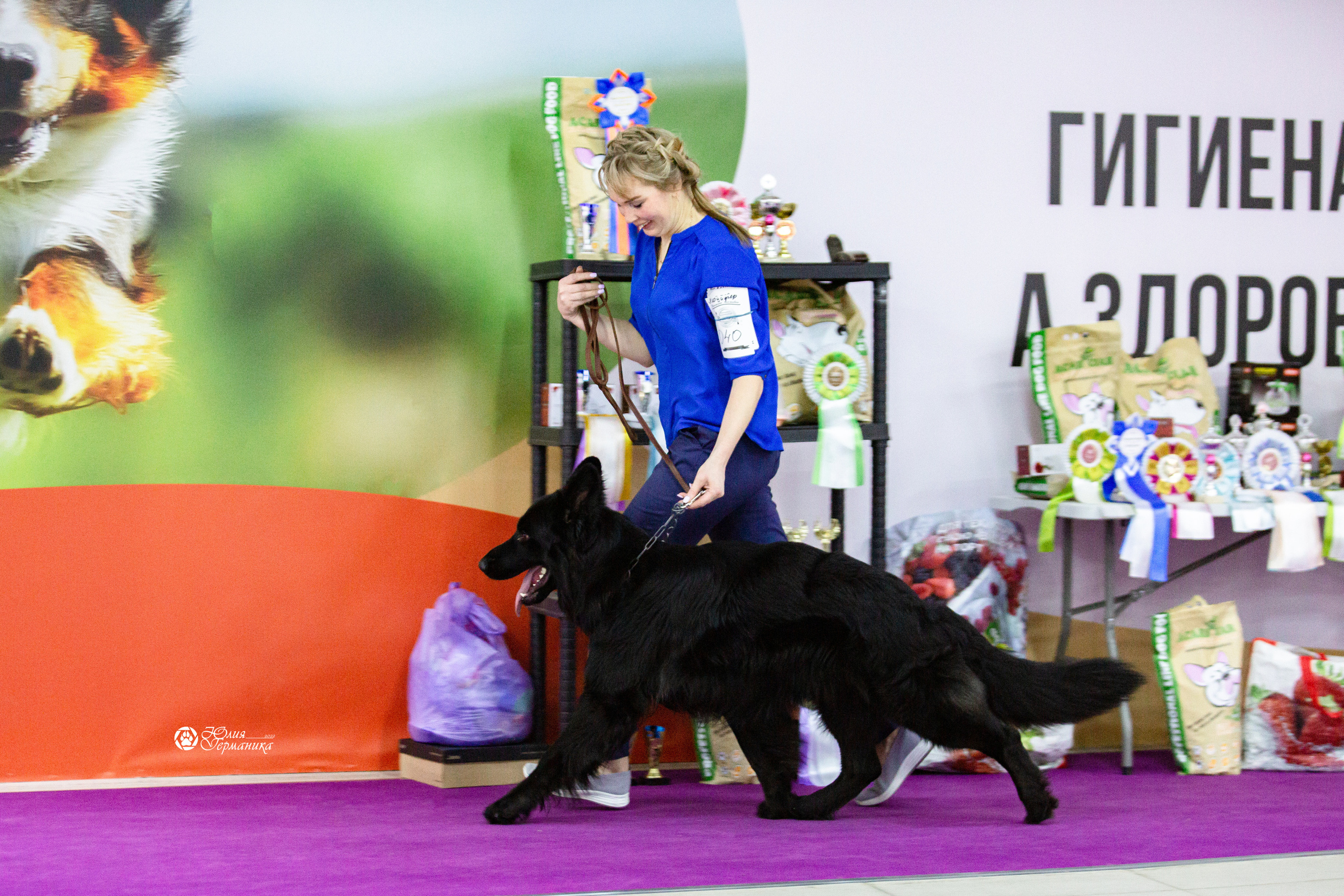 Чайна-Таун 12-13 февраля 2022. Фотограф-анималист Юлия Германика