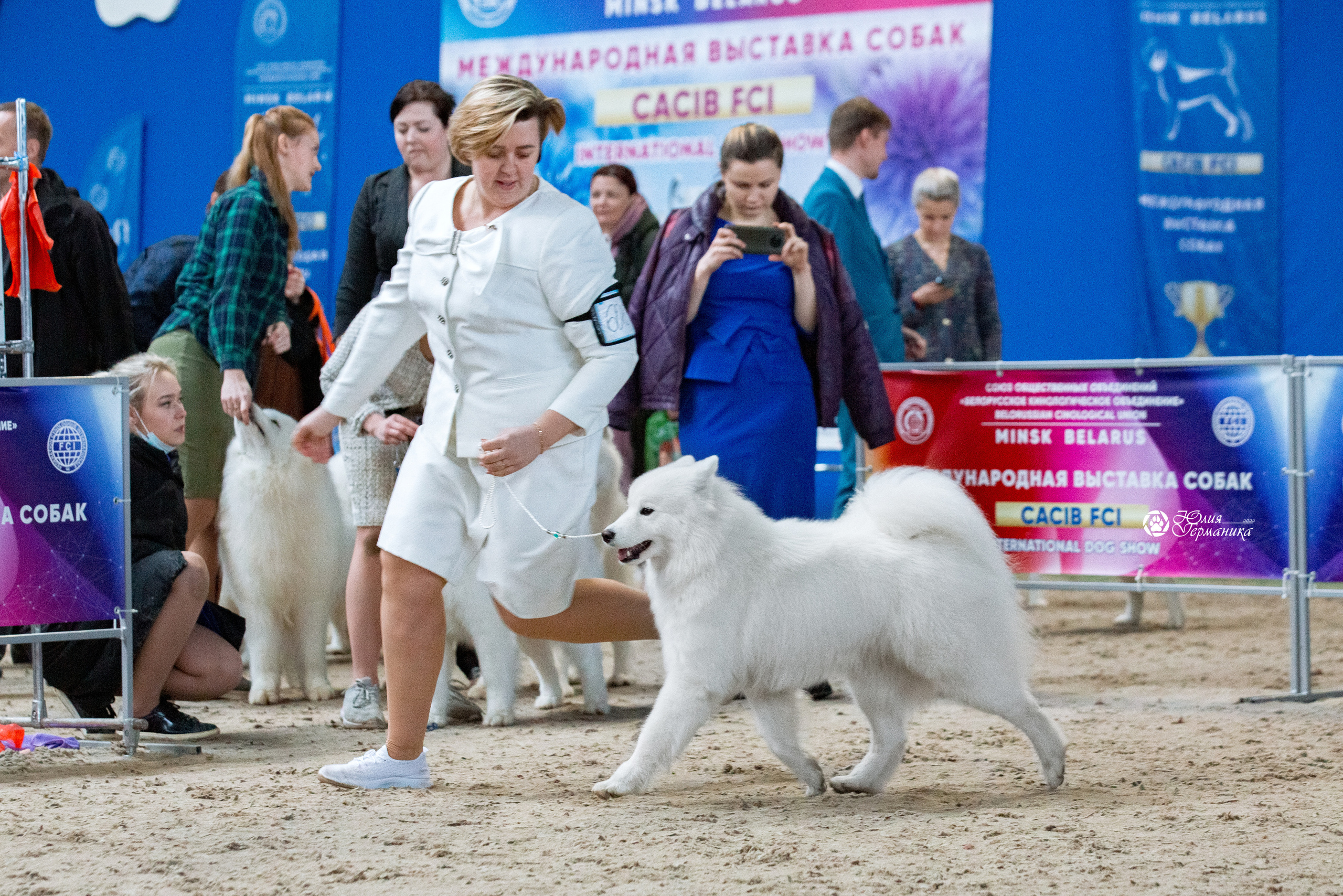 Минск 2хCACIB 5-6 марта 2022. Фотограф-анималист Юлия Германика