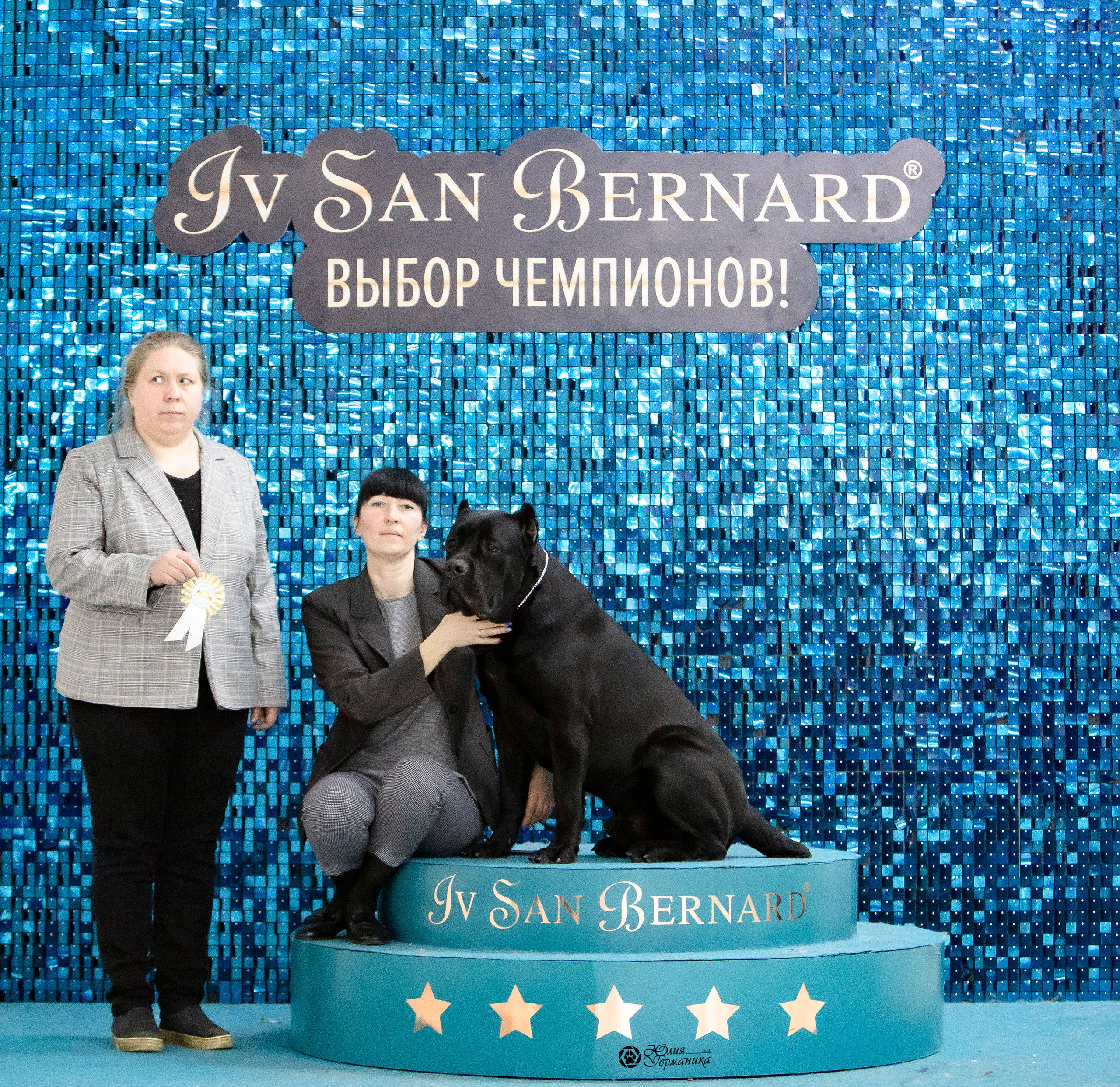 Чайна-Таун 18,26 и 29 декабря 2021. Фотограф-анималист Юлия Германика