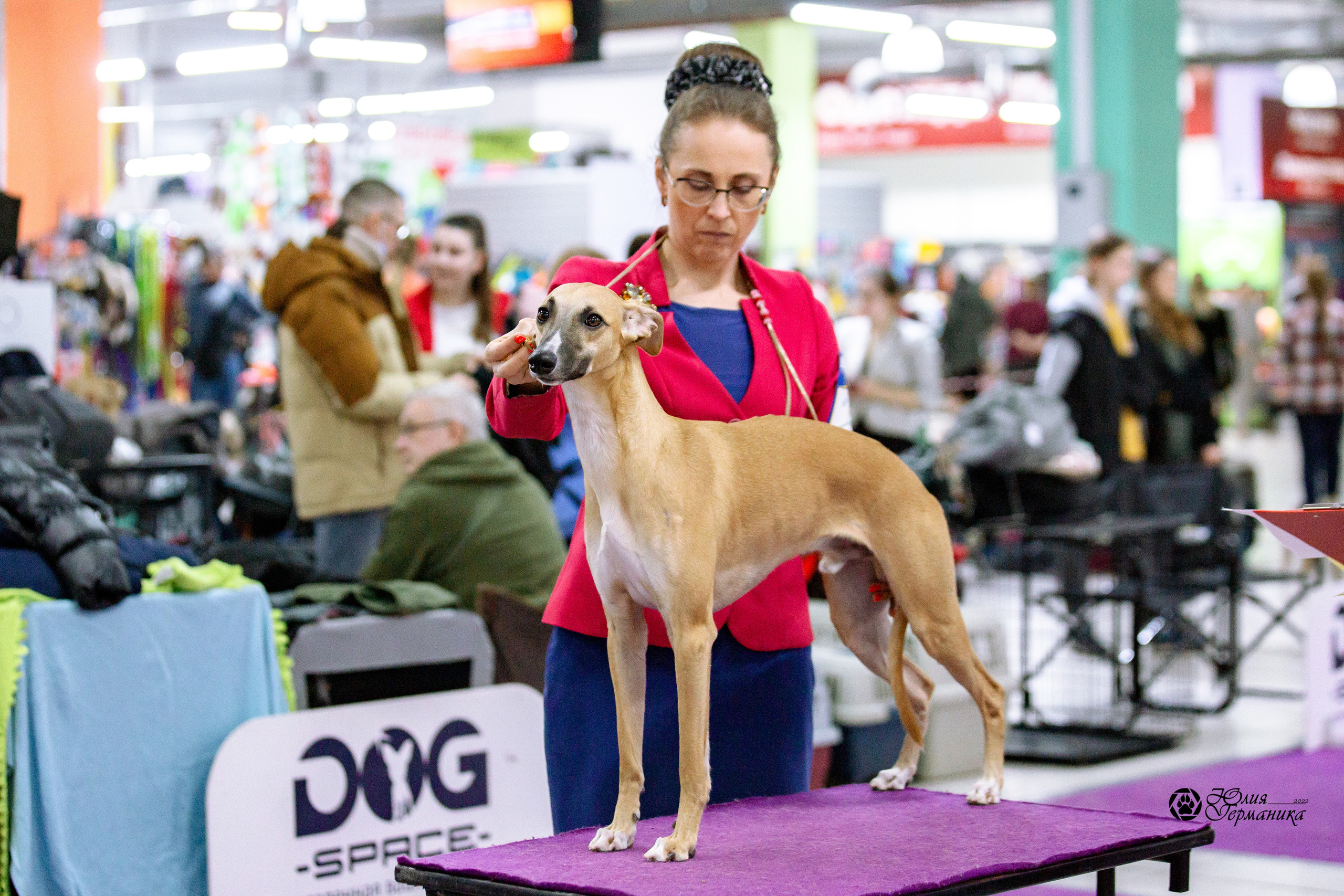 Чайна-Таун 13 и 20 марта 2022. Фотограф-анималист Юлия Германика