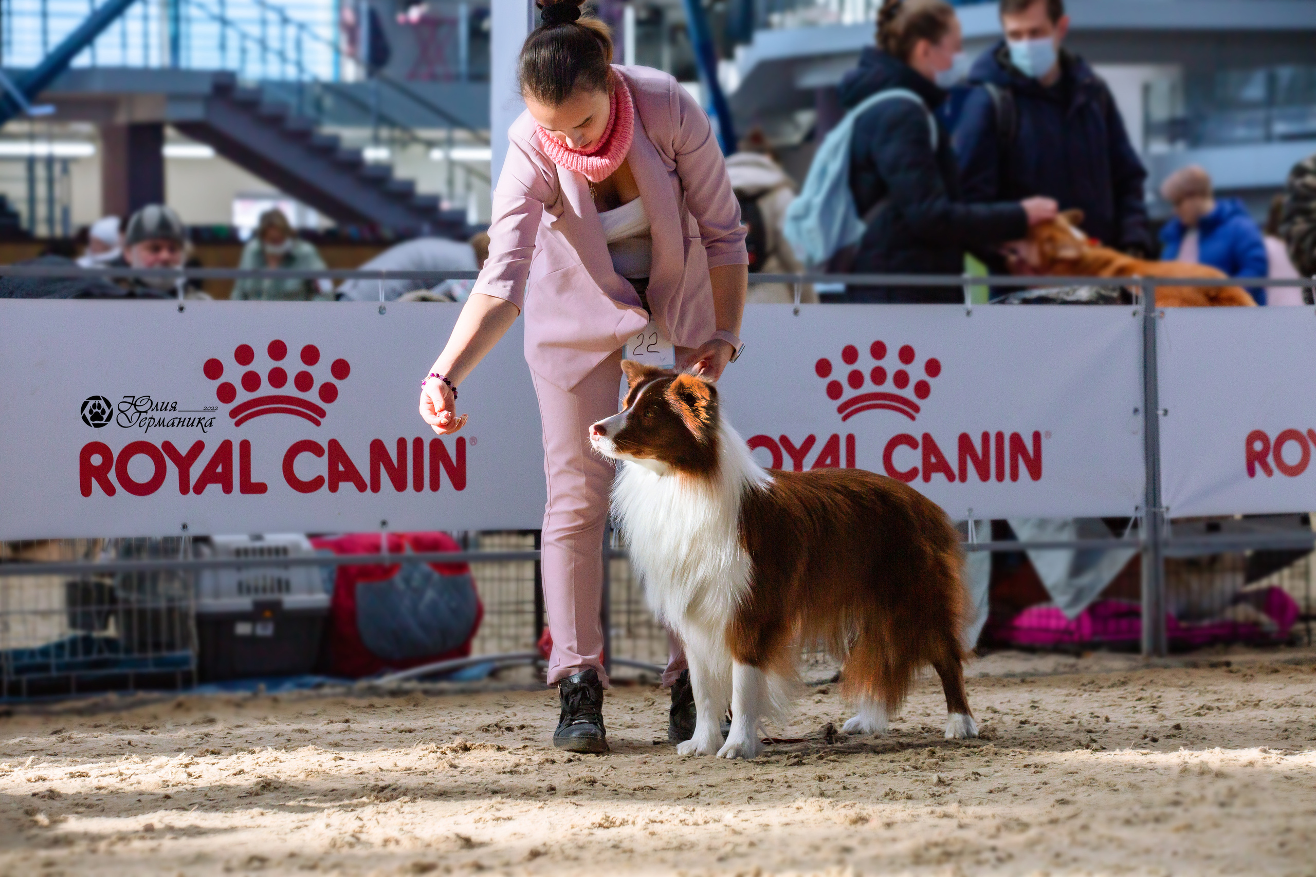 Минск 2хCACIB 5-6 марта 2022. Фотограф-анималист Юлия Германика