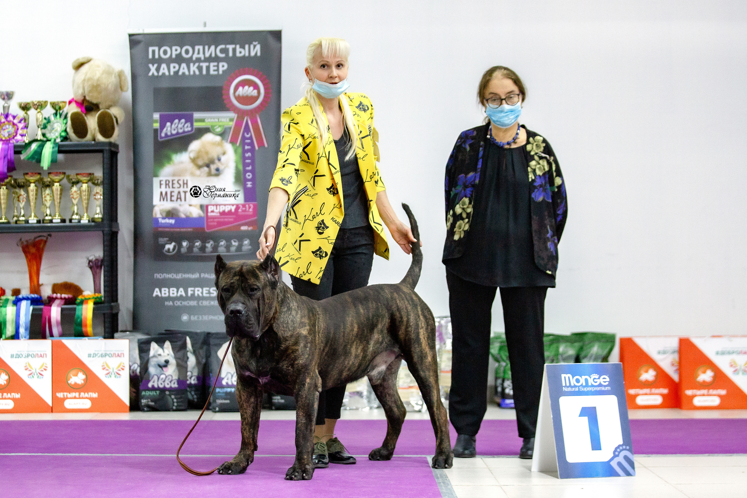 Чайна-Таун 29-30 января 2022. Фотограф-анималист Юлия Германика