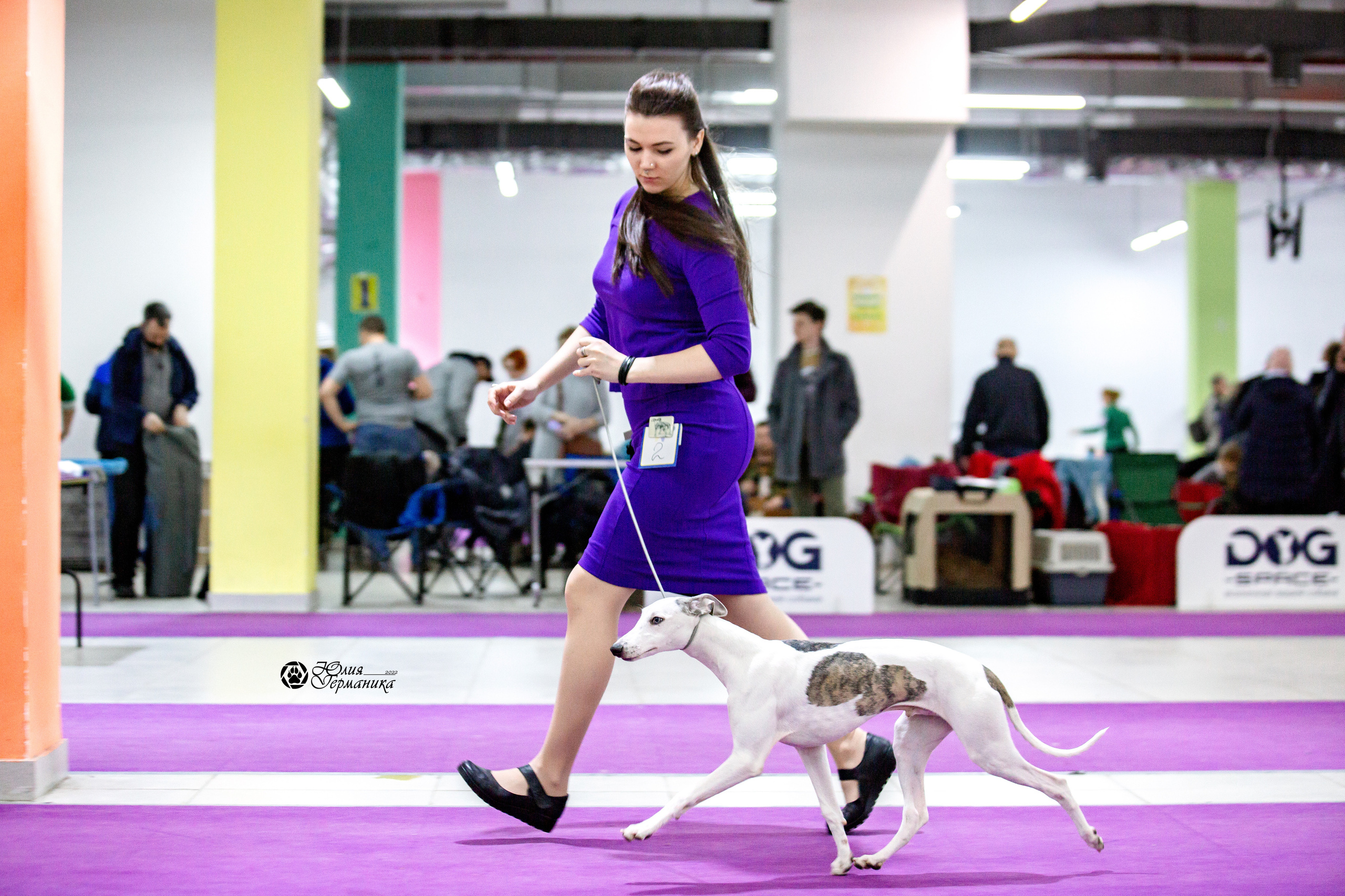 Чайна-Таун 13 и 20 марта 2022. Фотограф-анималист Юлия Германика