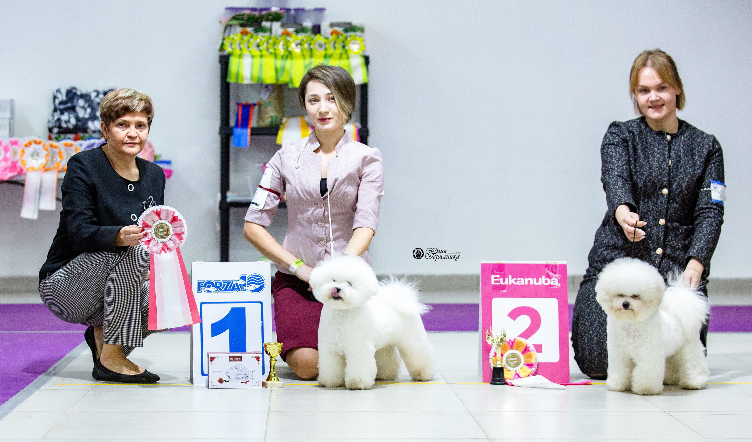 Чайна-Таун 12-13 февраля 2022. Фотограф-анималист Юлия Германика