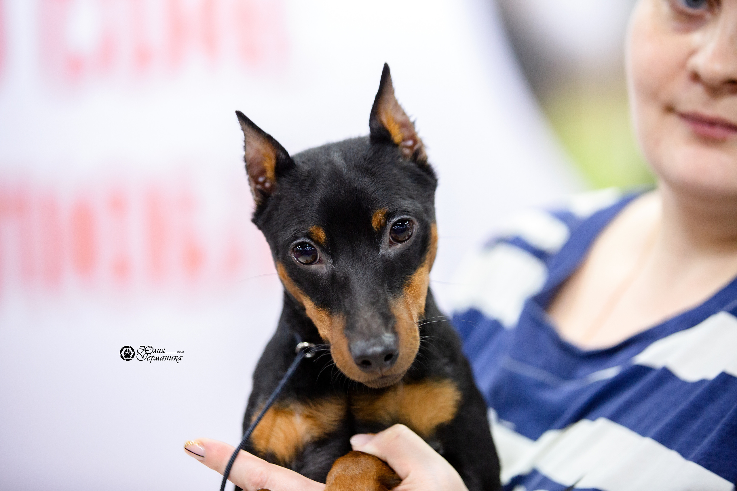 Чайна-Таун 12-13 февраля 2022. Фотограф-анималист Юлия Германика