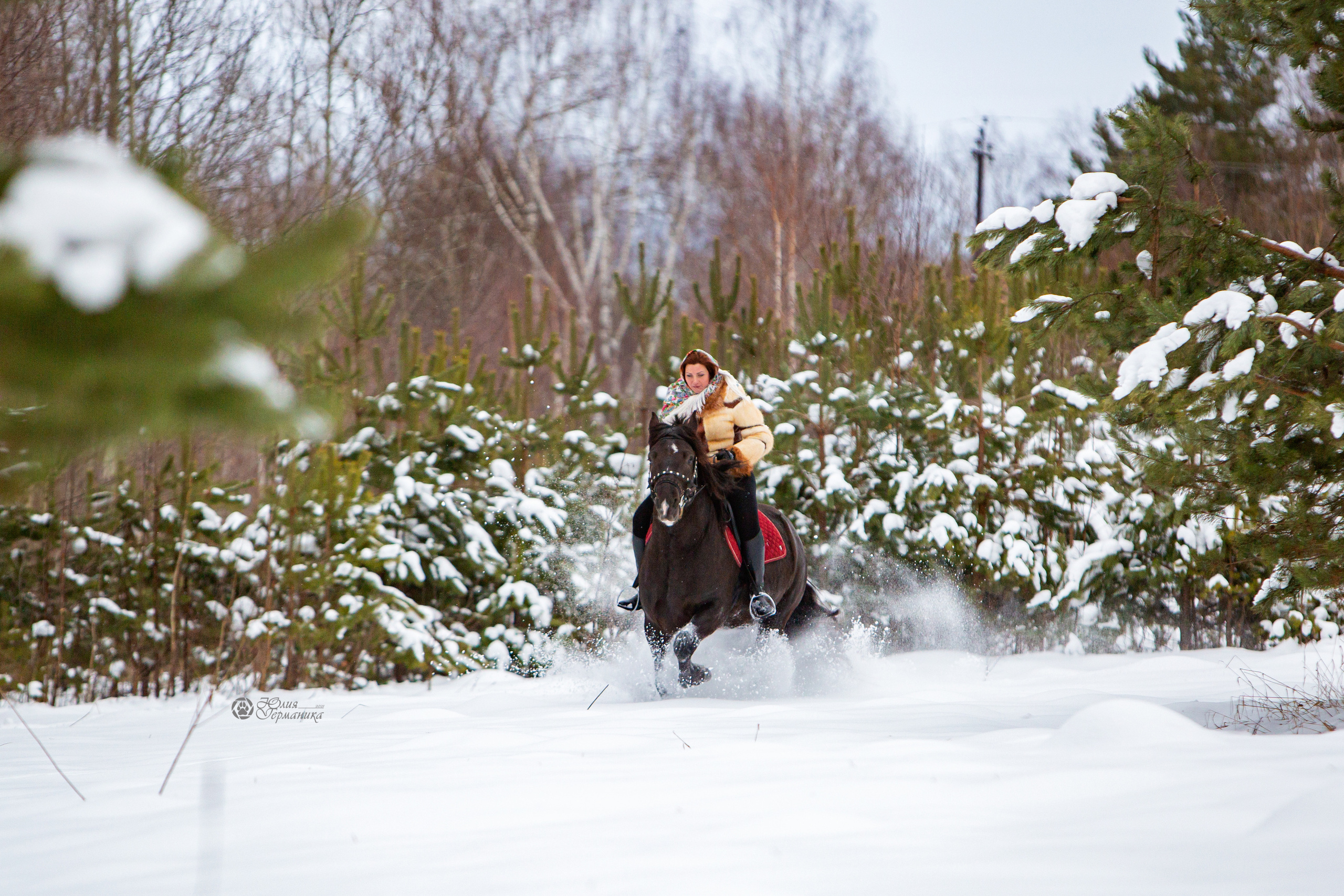 Съёмки с лошадьми. Фотограф-анималист Юлия Германика