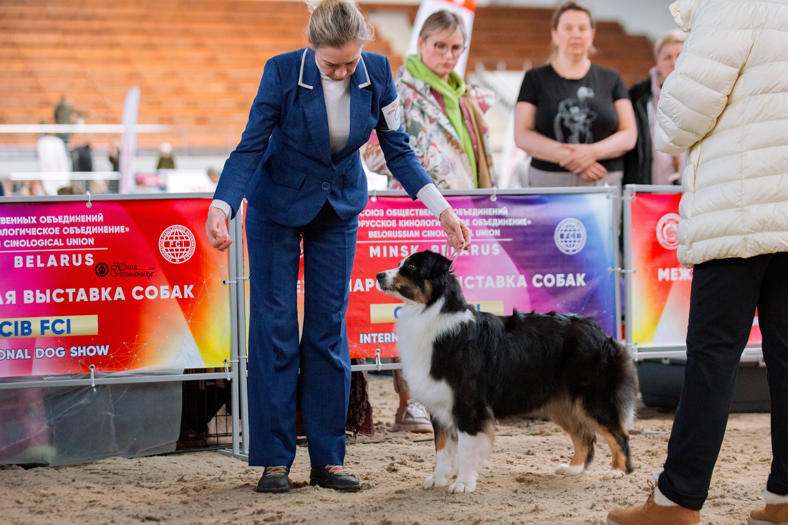 Минск 2хCACIB 5-6 марта 2022. Фотограф-анималист Юлия Германика