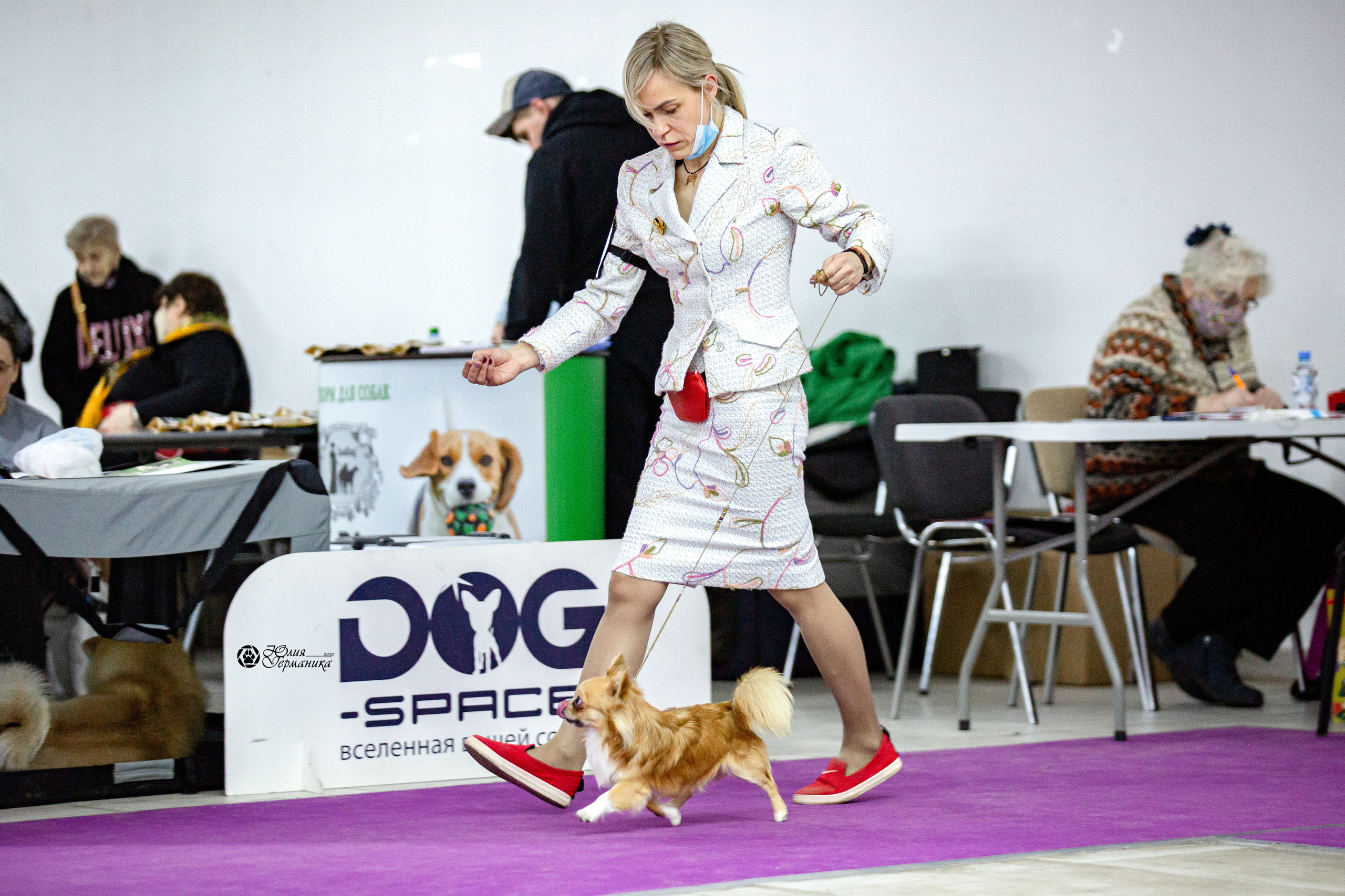 Чайна-Таун 29-30 января 2022. Фотограф-анималист Юлия Германика