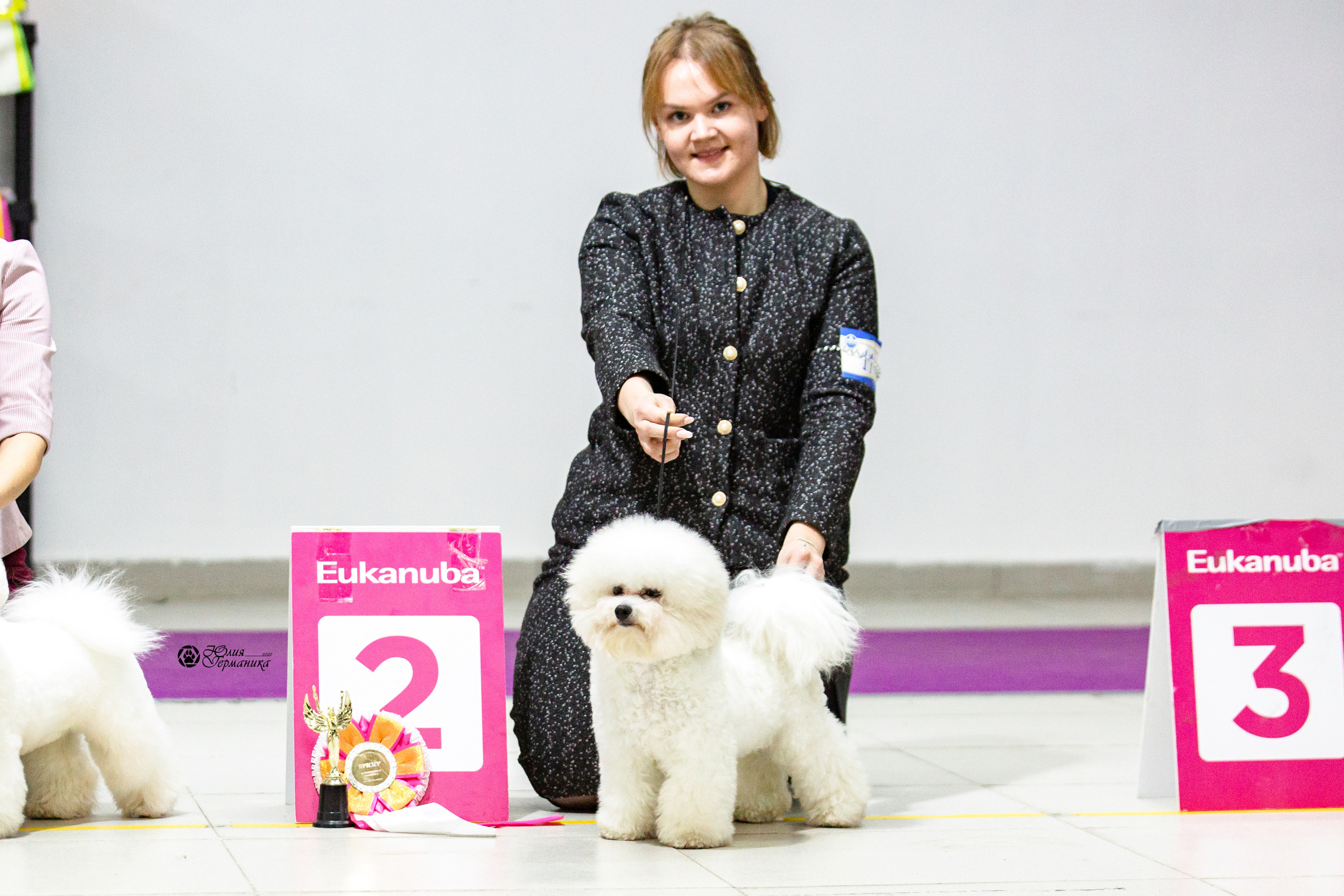 Чайна-Таун 12-13 февраля 2022. Фотограф-анималист Юлия Германика