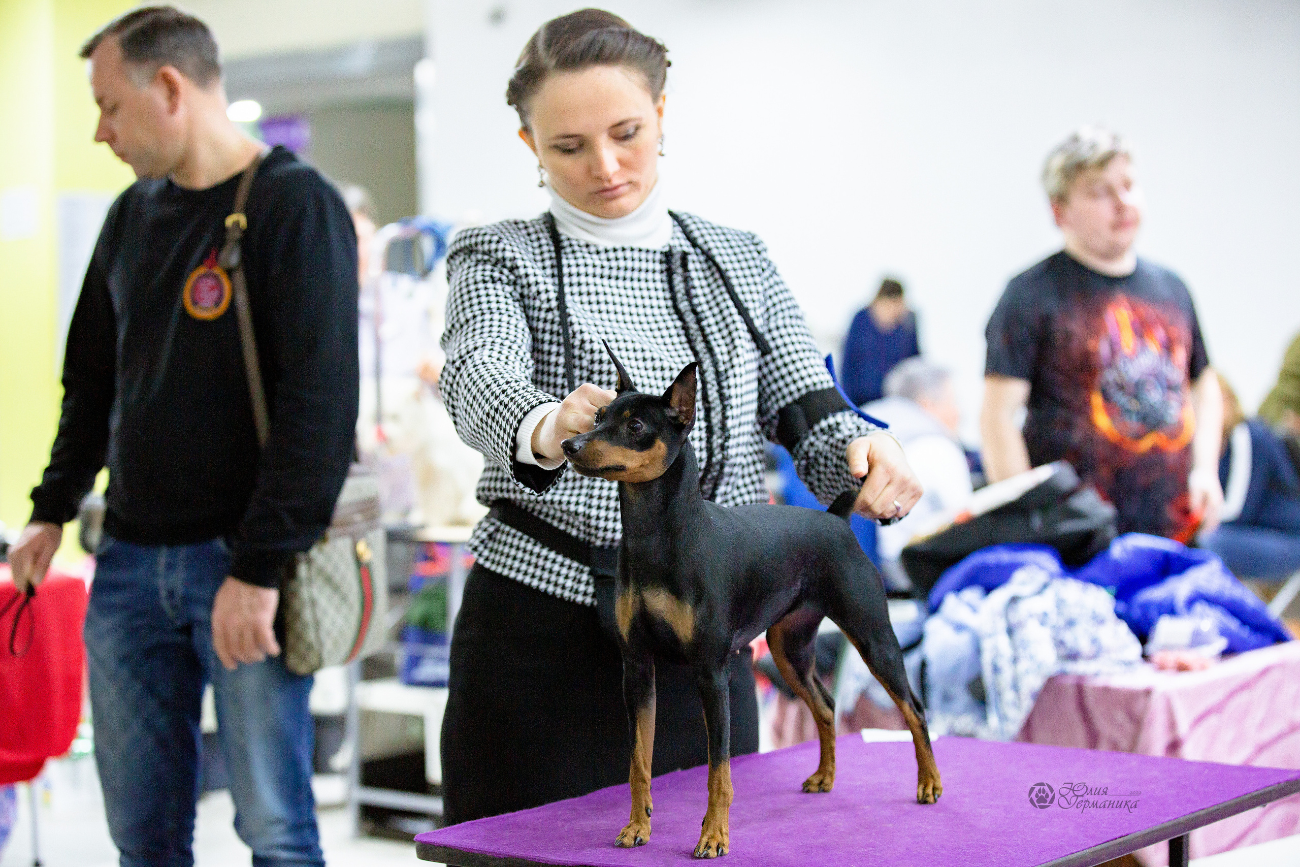 Чайна-Таун 24 и 27 марта 2022. Фотограф-анималист Юлия Германика