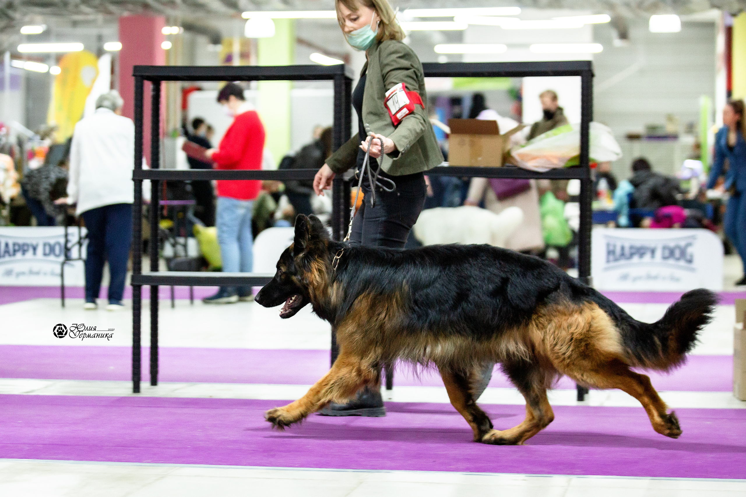 Чайна-Таун 29-30 января 2022. Фотограф-анималист Юлия Германика