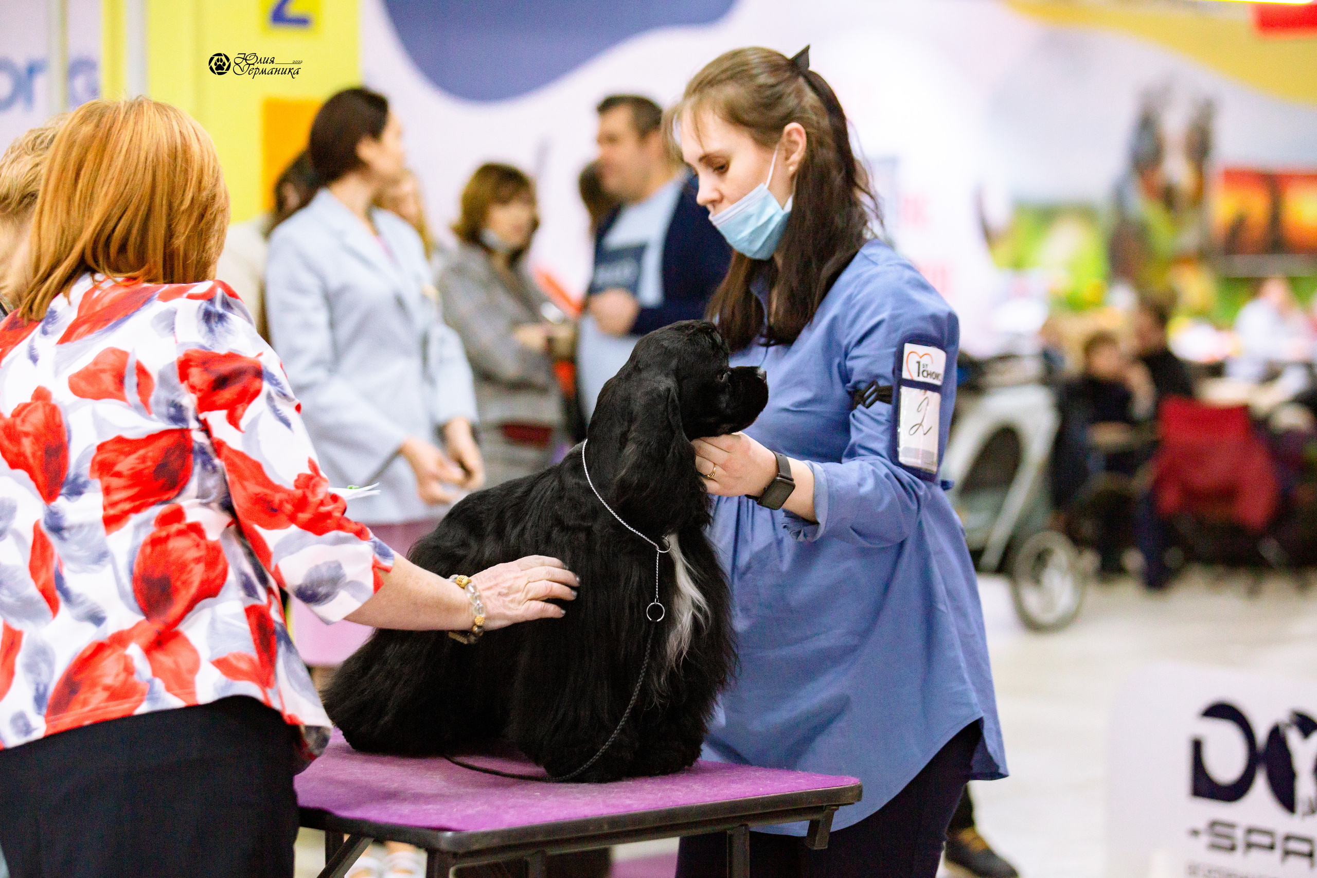 Чайна-Таун 13 и 20 марта 2022. Фотограф-анималист Юлия Германика