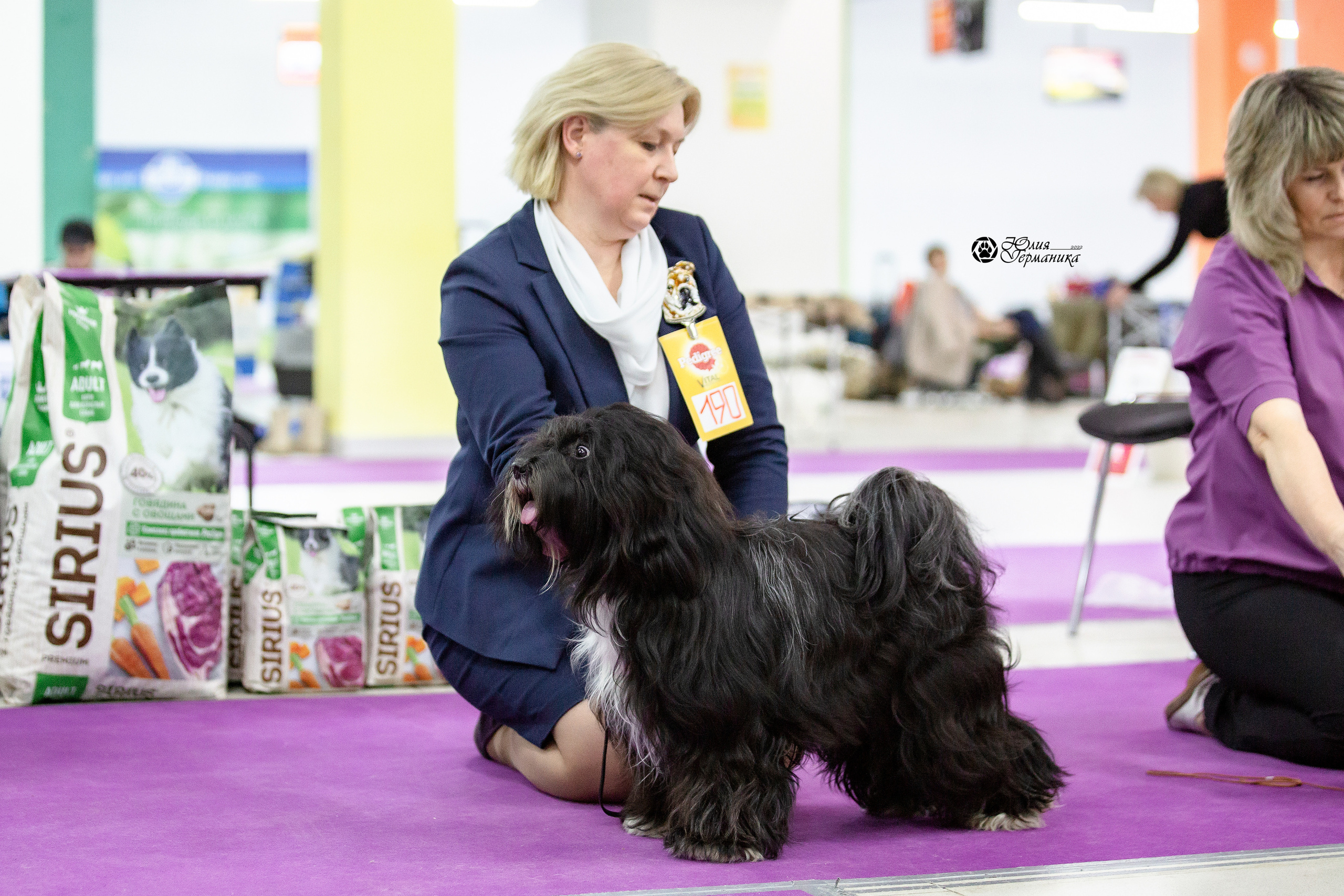 Чайна-Таун 29-30 января 2022. Фотограф-анималист Юлия Германика