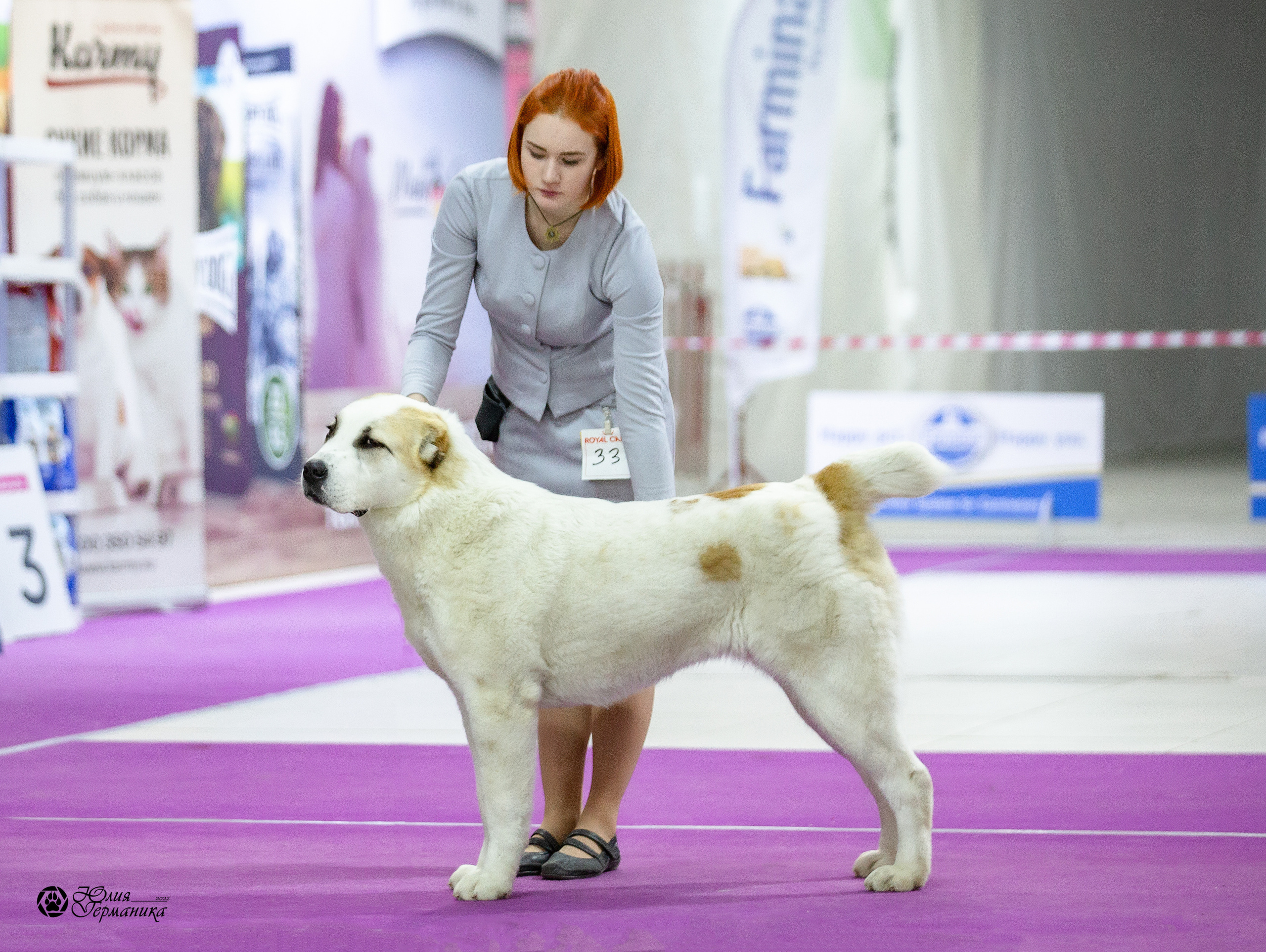 Чайна-Таун 29-30 января 2022. Фотограф-анималист Юлия Германика