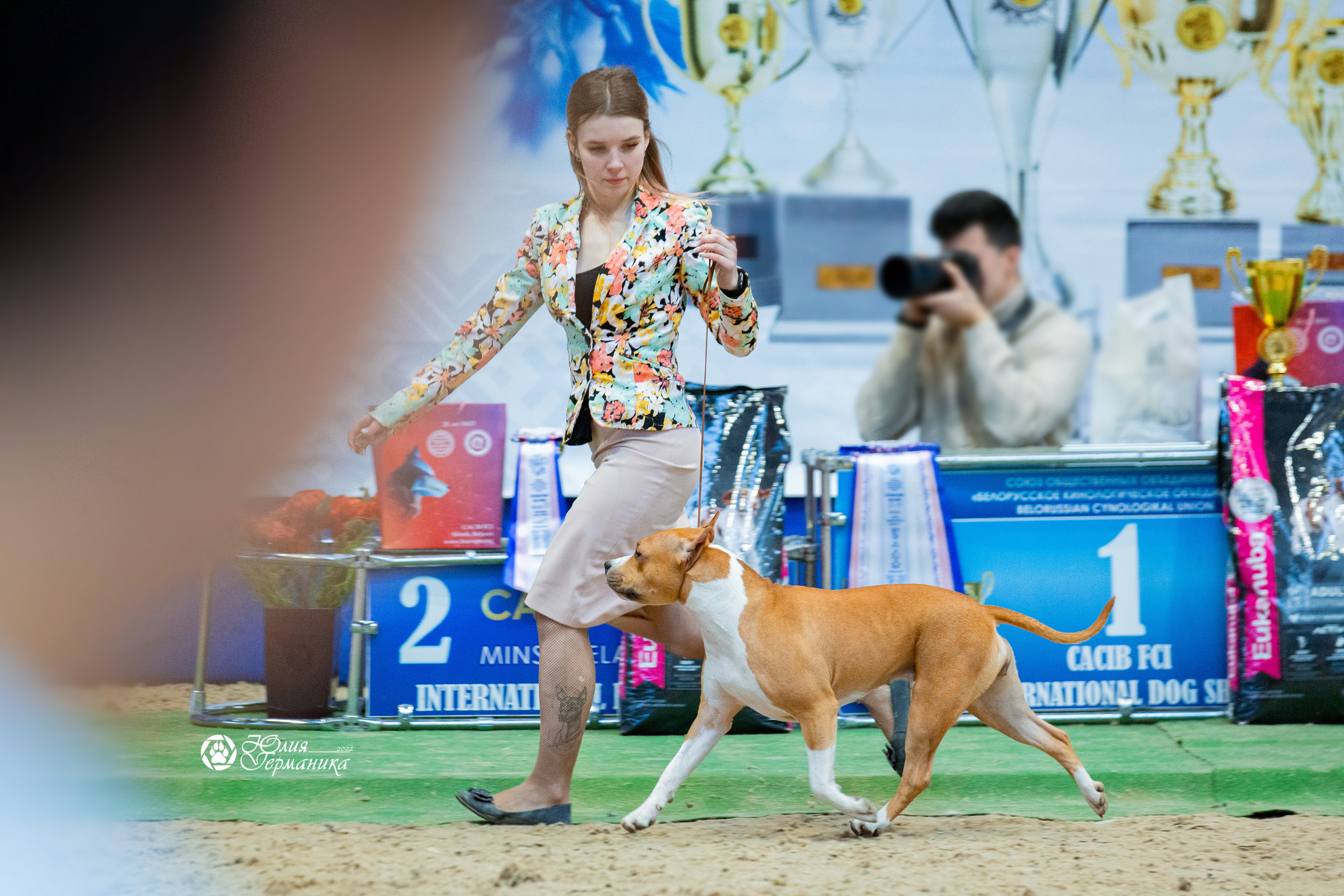 Минск 2хCACIB 5-6 марта 2022. Фотограф-анималист Юлия Германика