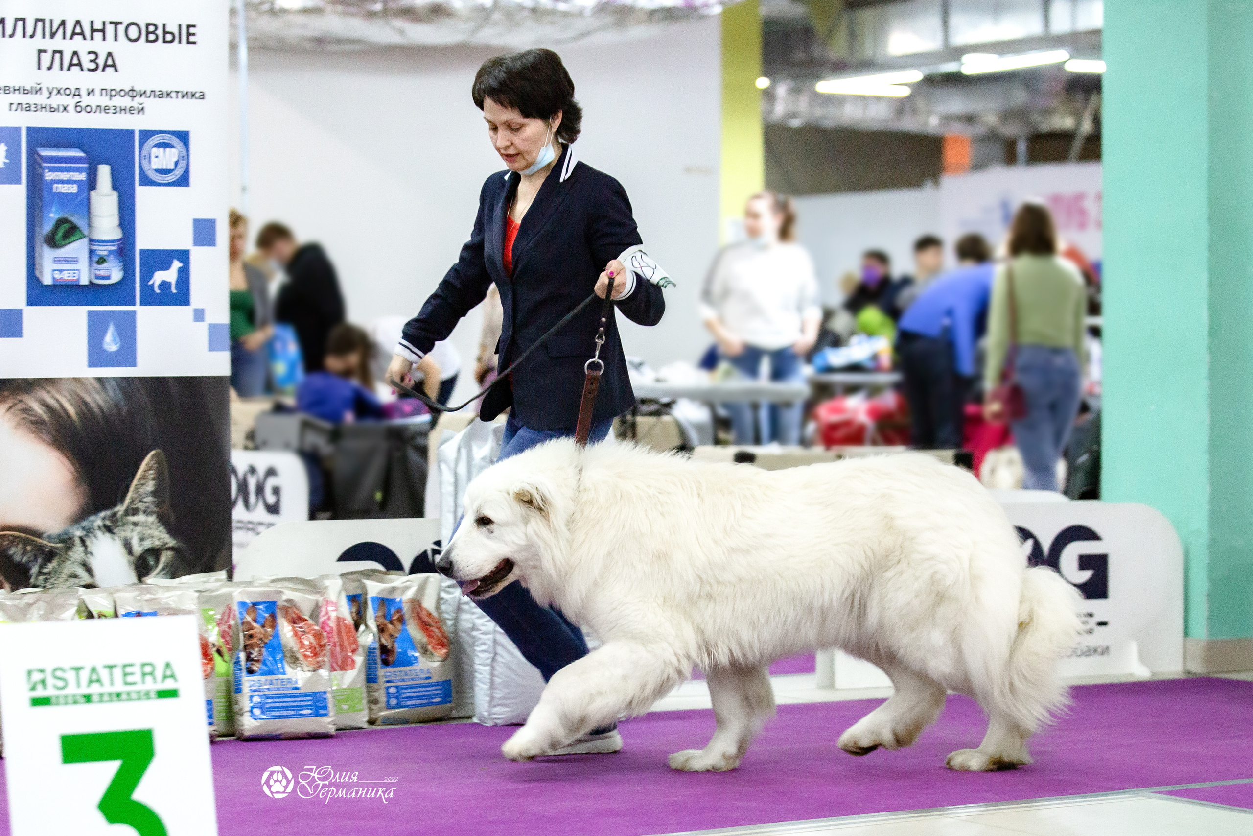 Чайна-Таун 23 февраля 2022. Фотограф-анималист Юлия Германика