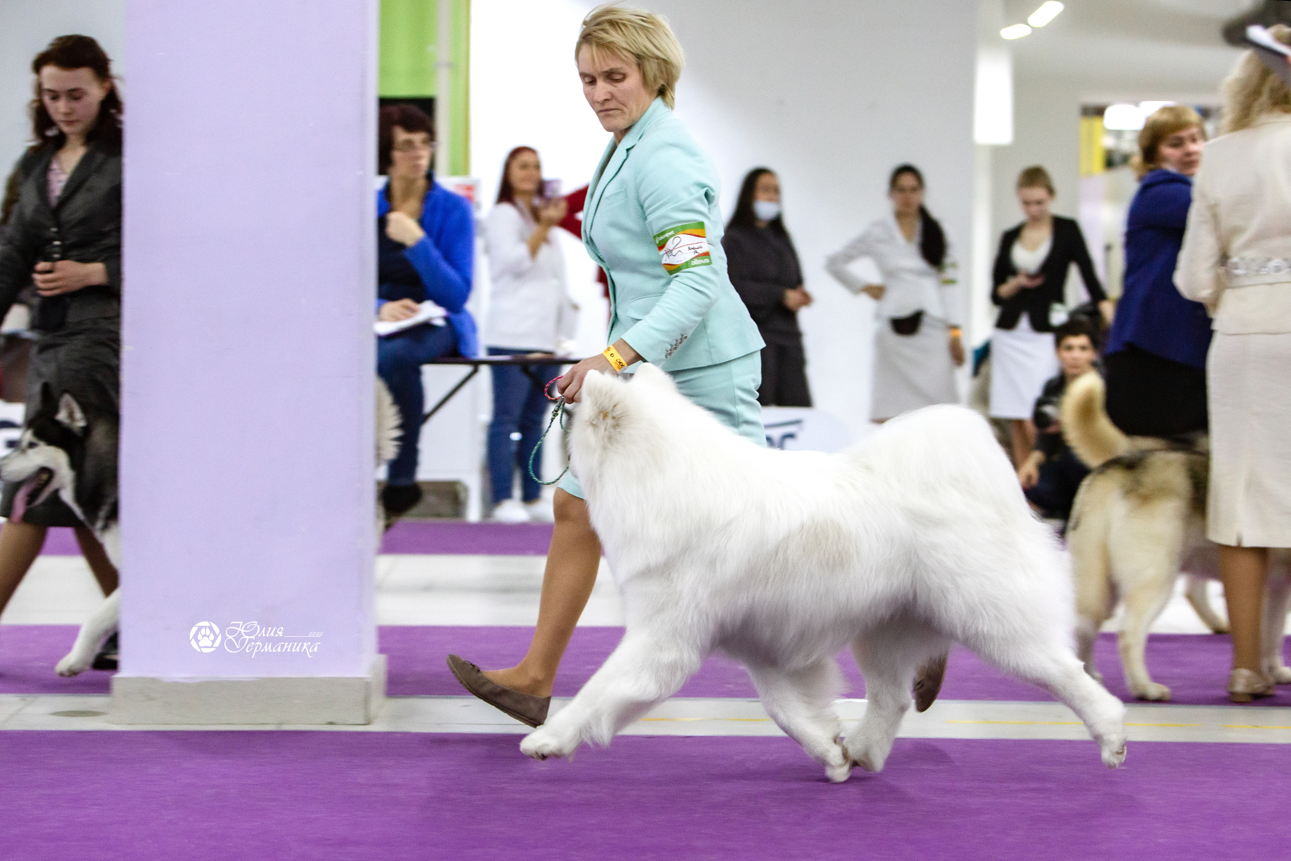 Чайна-Таун 18,26 и 29 декабря 2021. Фотограф-анималист Юлия Германика