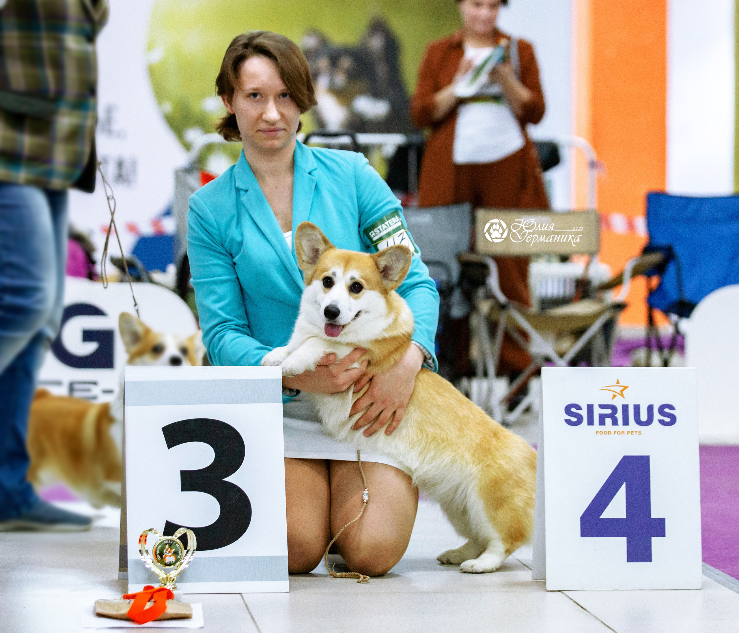 Чайна-Таун 23 февраля 2022. Фотограф-анималист Юлия Германика