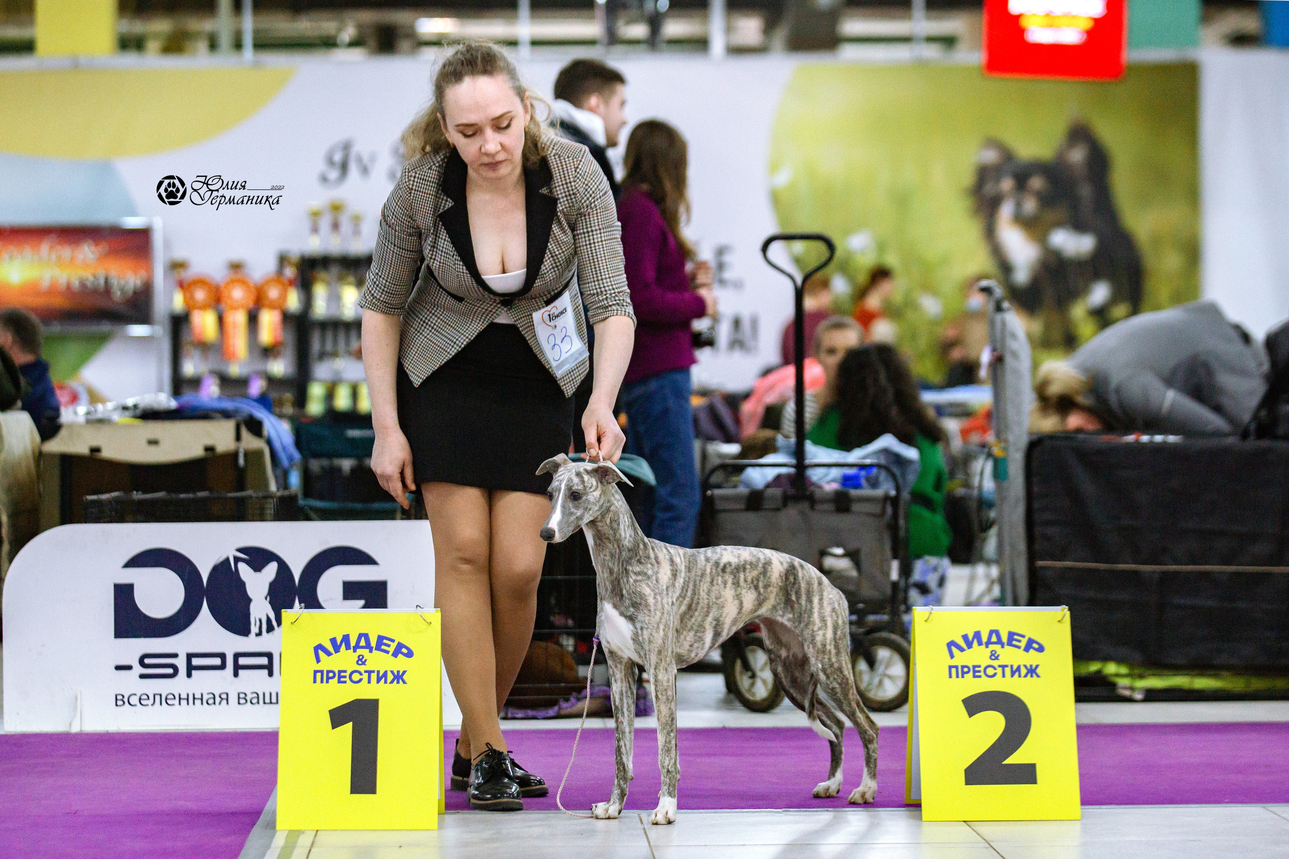 Чайна-Таун 13 и 20 марта 2022. Фотограф-анималист Юлия Германика