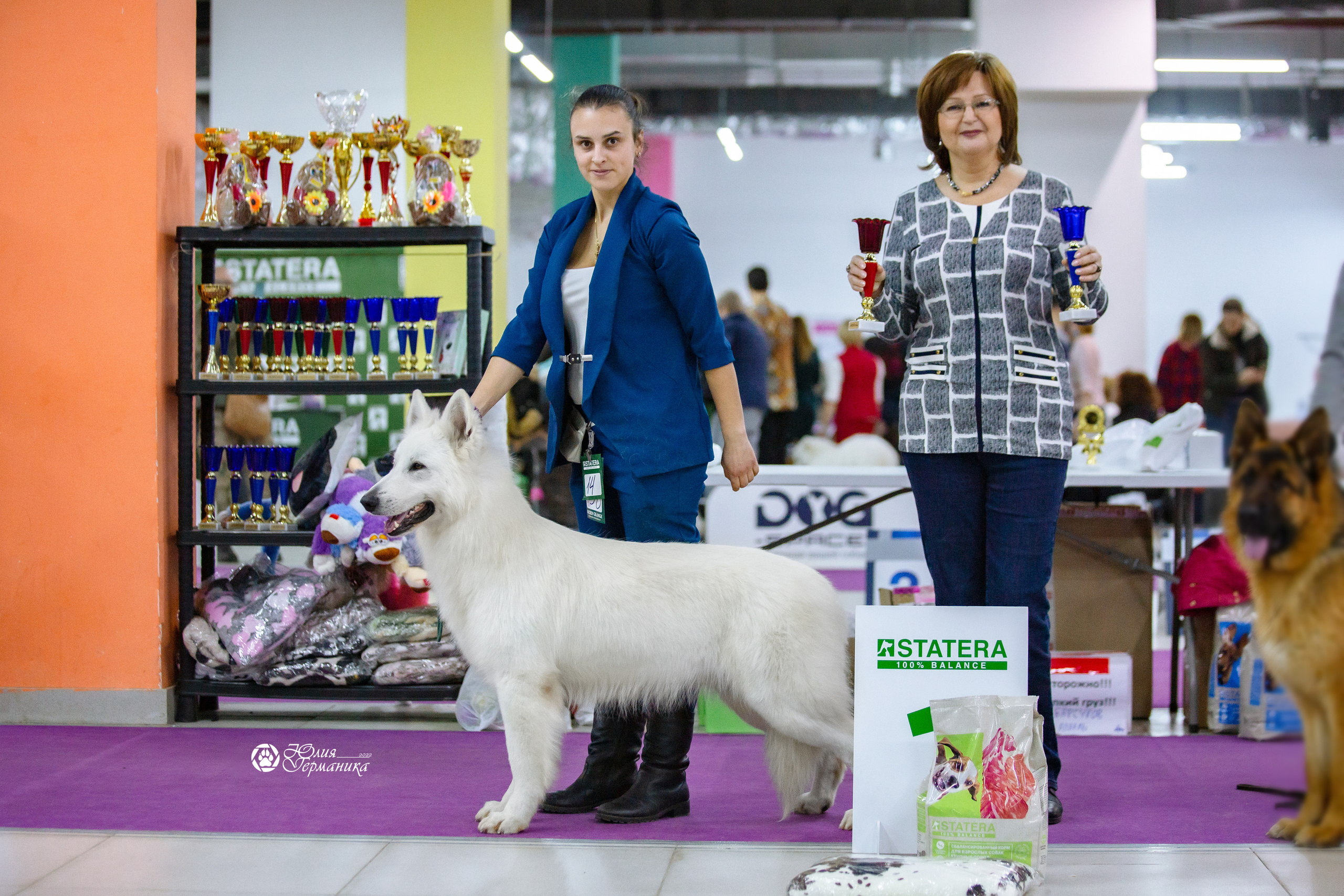 Чайна-Таун 23 февраля 2022. Фотограф-анималист Юлия Германика