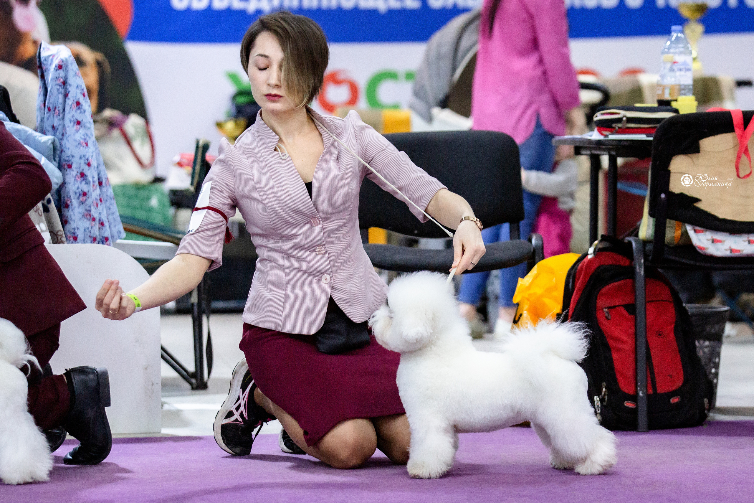 Чайна-Таун 12-13 февраля 2022. Фотограф-анималист Юлия Германика