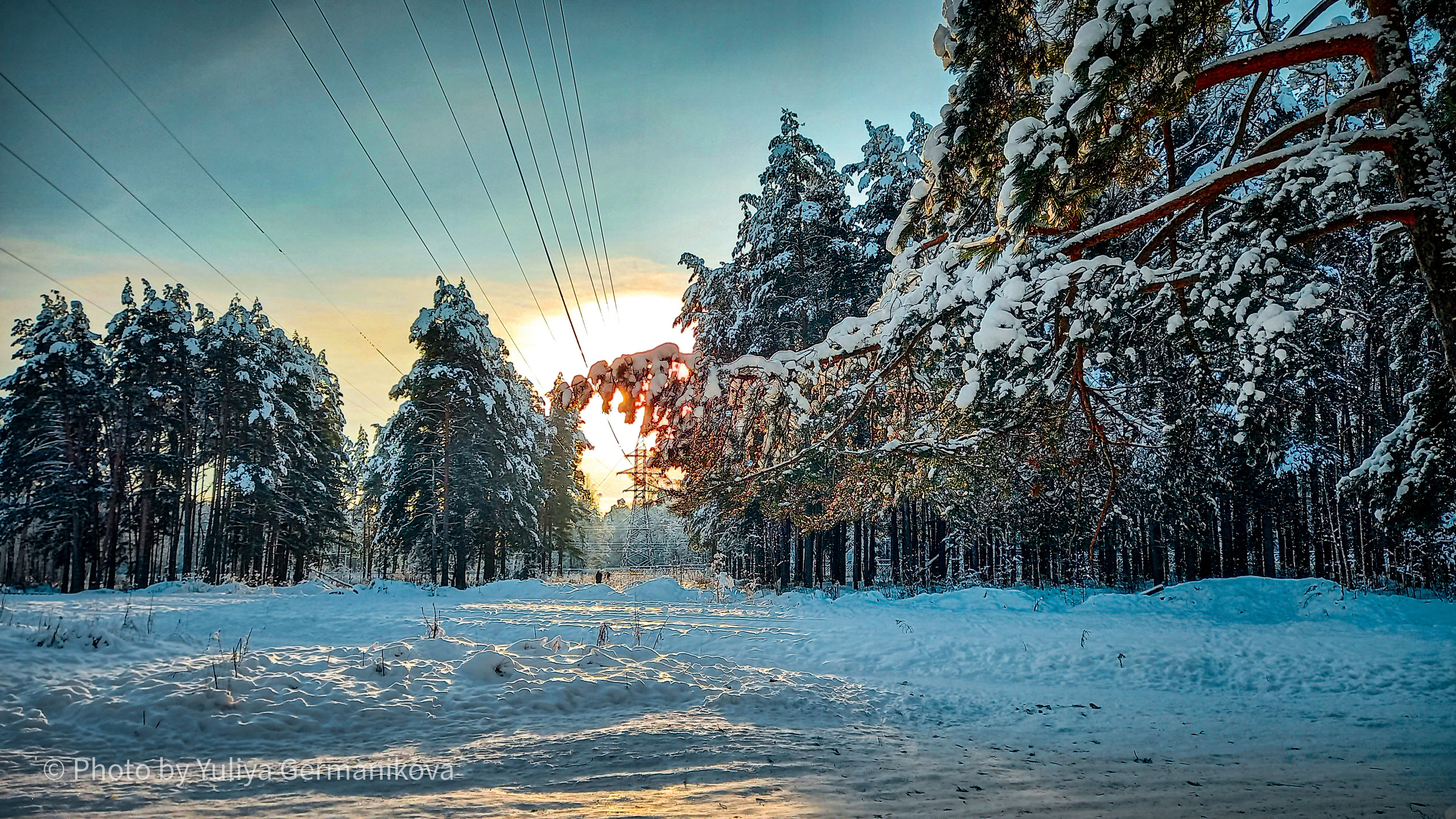 Разные фото на телефон.Города,природа. Фотограф-анималист Юлия Германика
