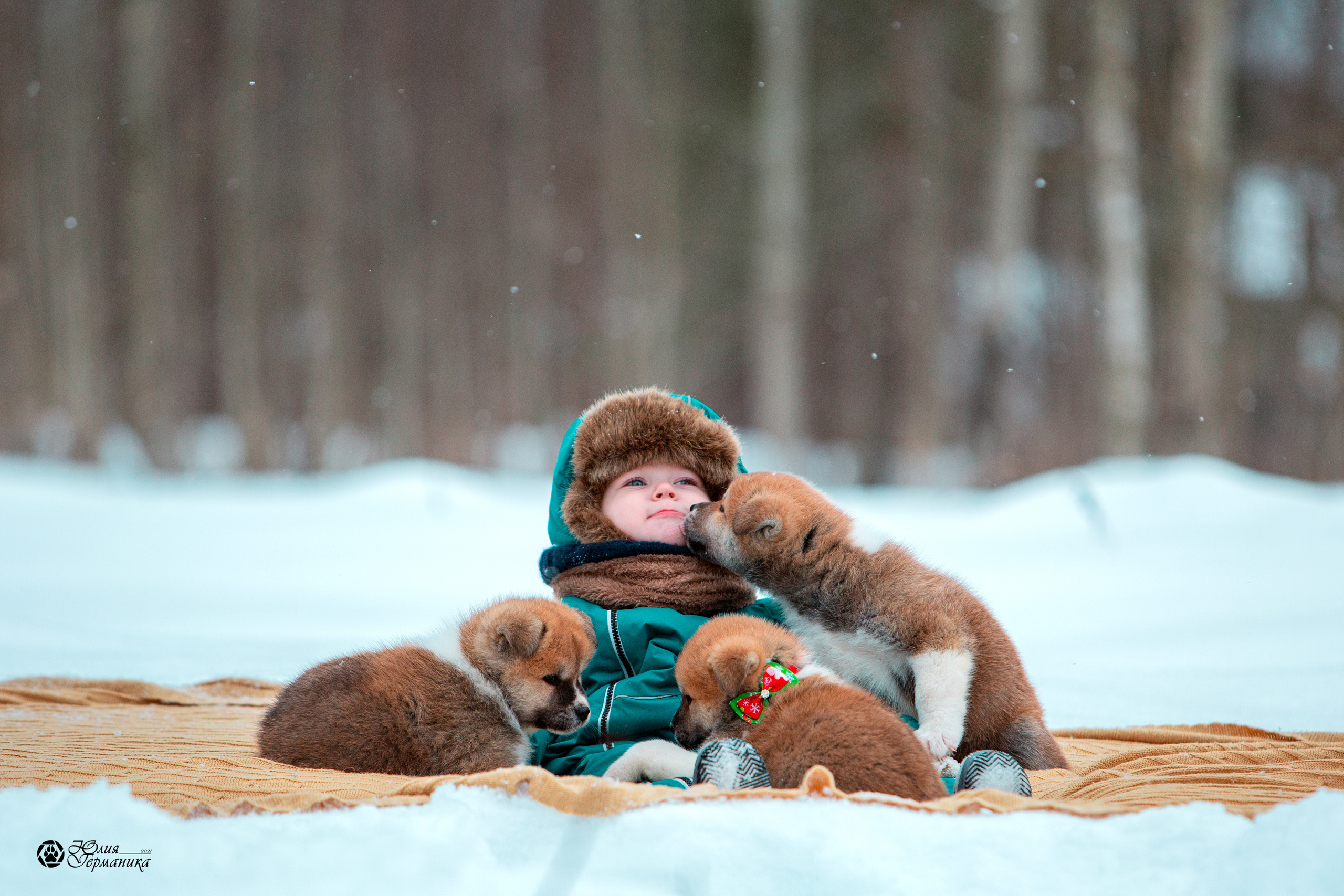 Свободная съемка. Фотограф-анималист Юлия Германика