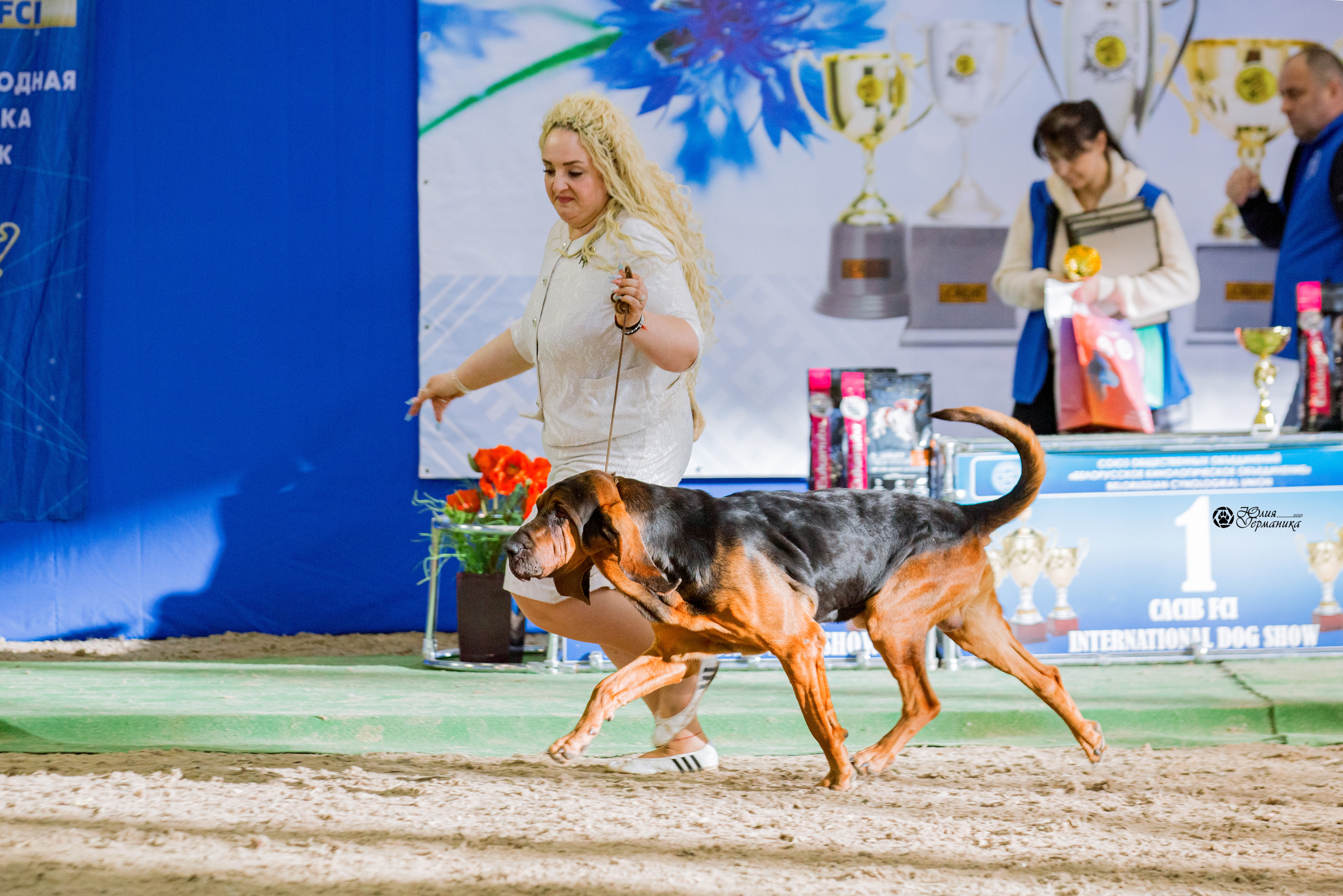 Минск 2хCACIB 5-6 марта 2022. Фотограф-анималист Юлия Германика