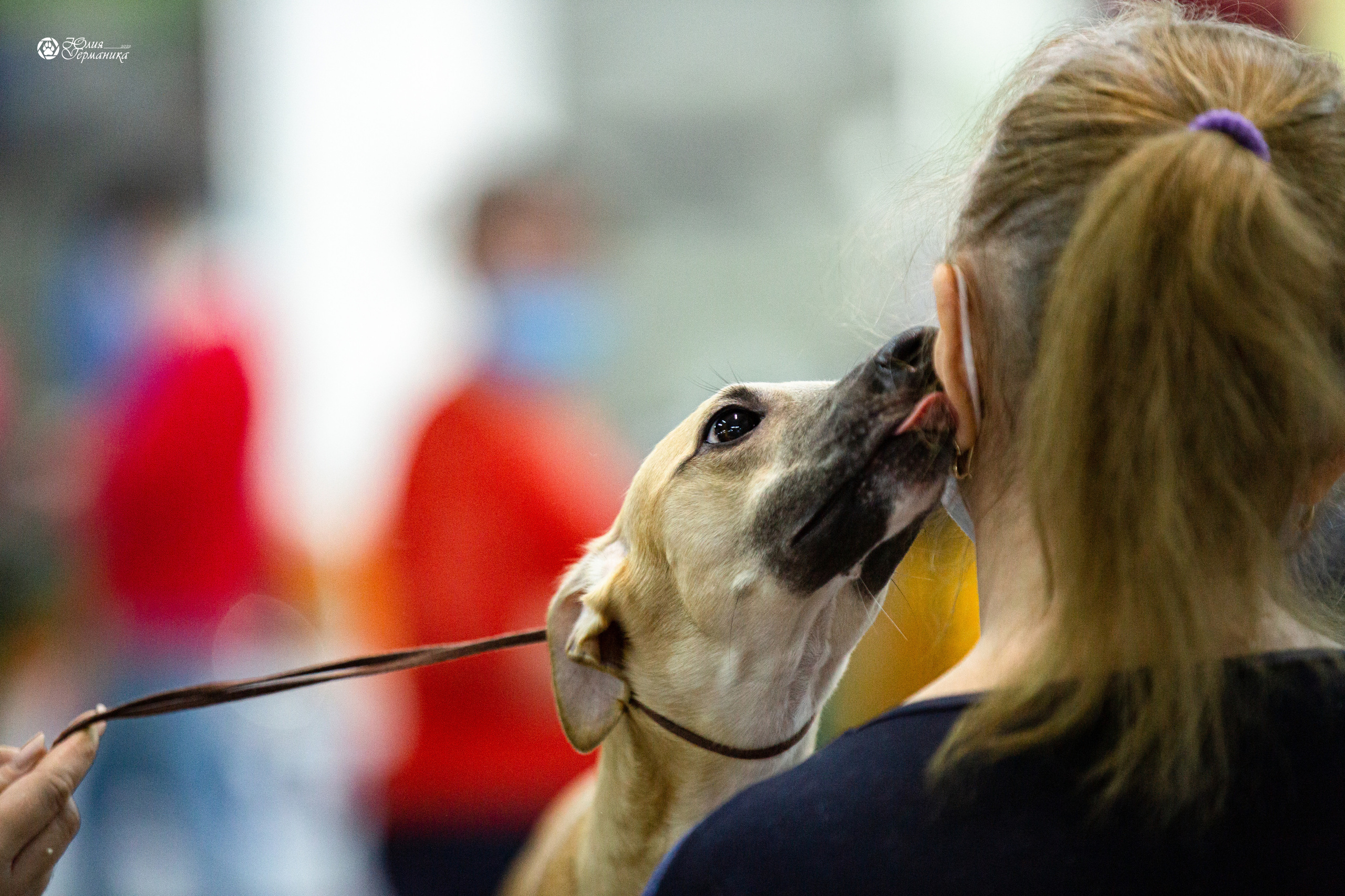 Чайна-Таун 29-30 января 2022. Фотограф-анималист Юлия Германика