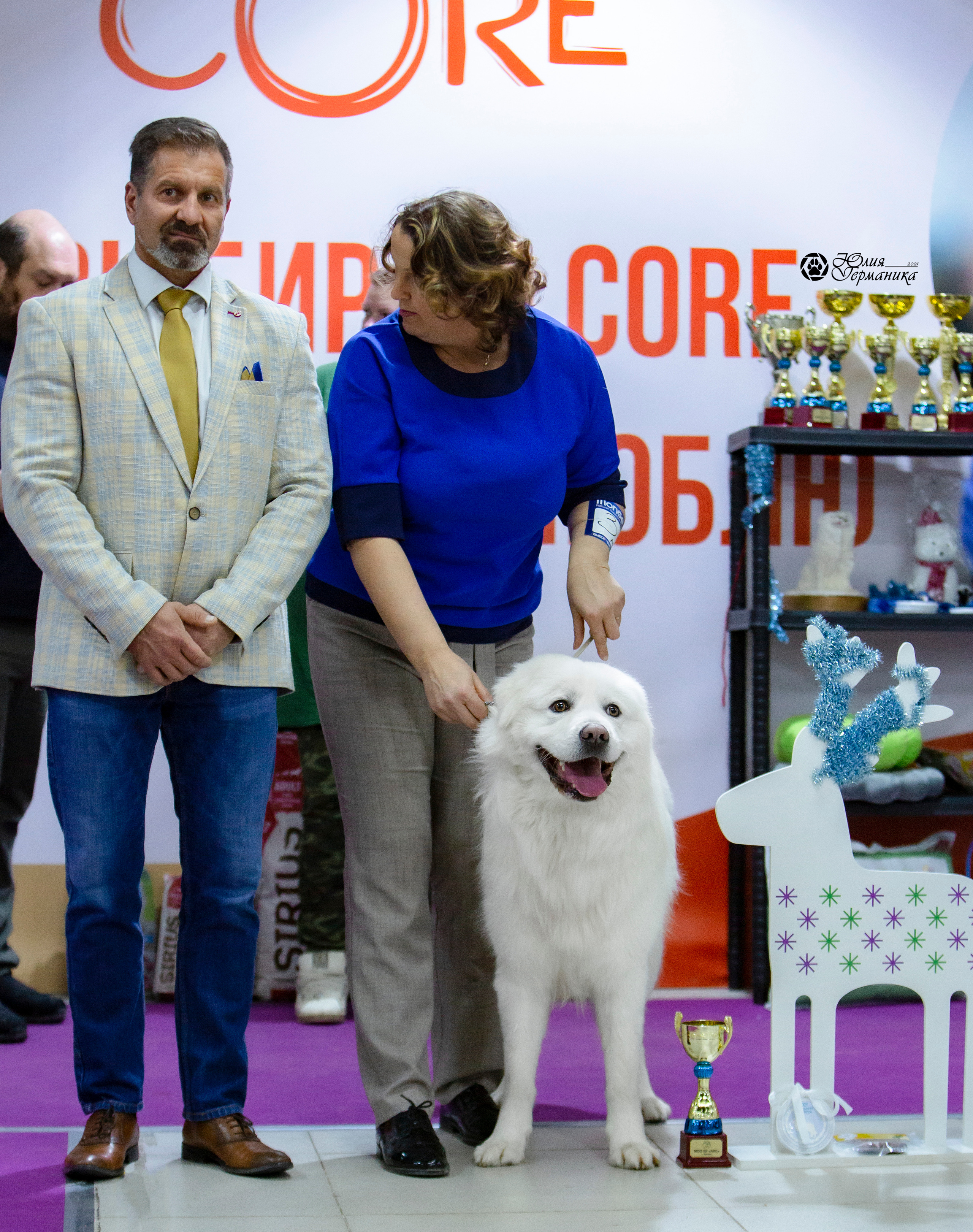 Чайна-Таун 18,26 и 29 декабря 2021. Фотограф-анималист Юлия Германика