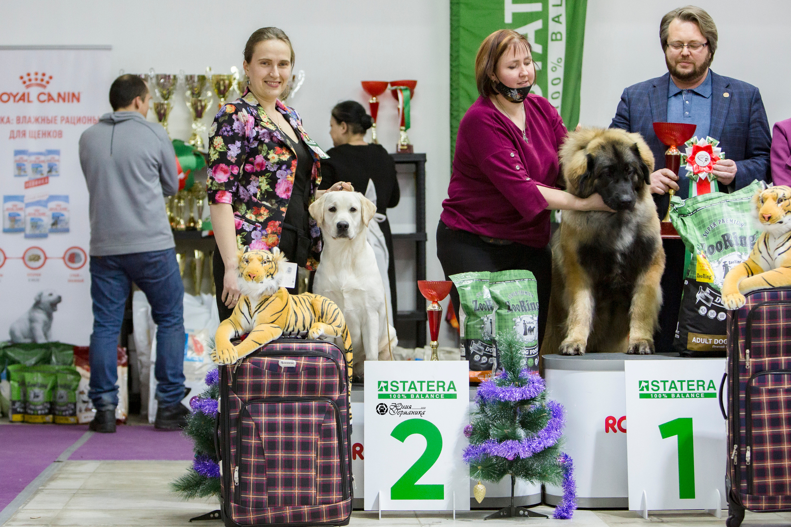 Чайна-Таун 18,26 и 29 декабря 2021. Фотограф-анималист Юлия Германика