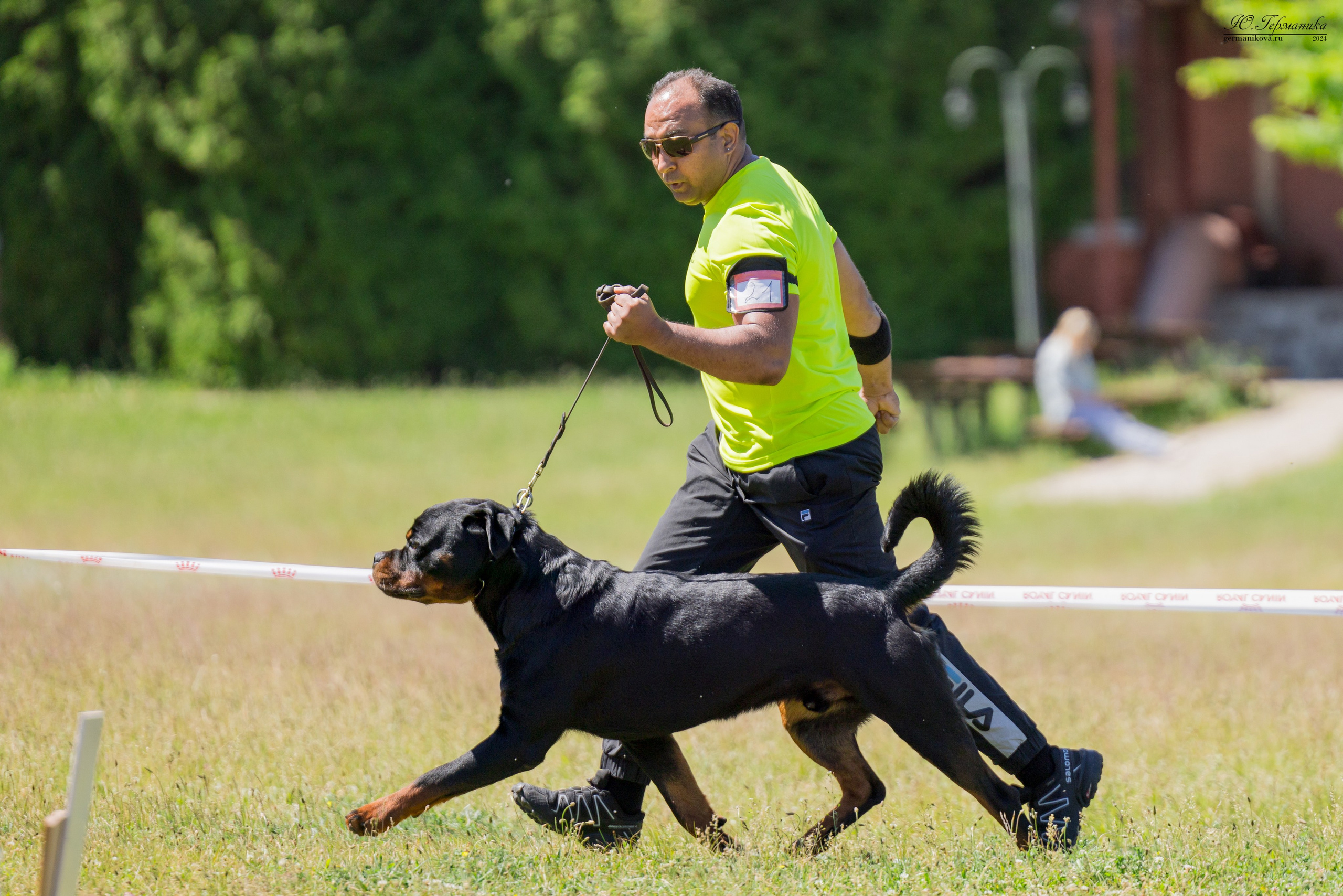 Воронеж моно ротвейлеров 25-26.05.2024. Фотограф-анималист Юлия Германика