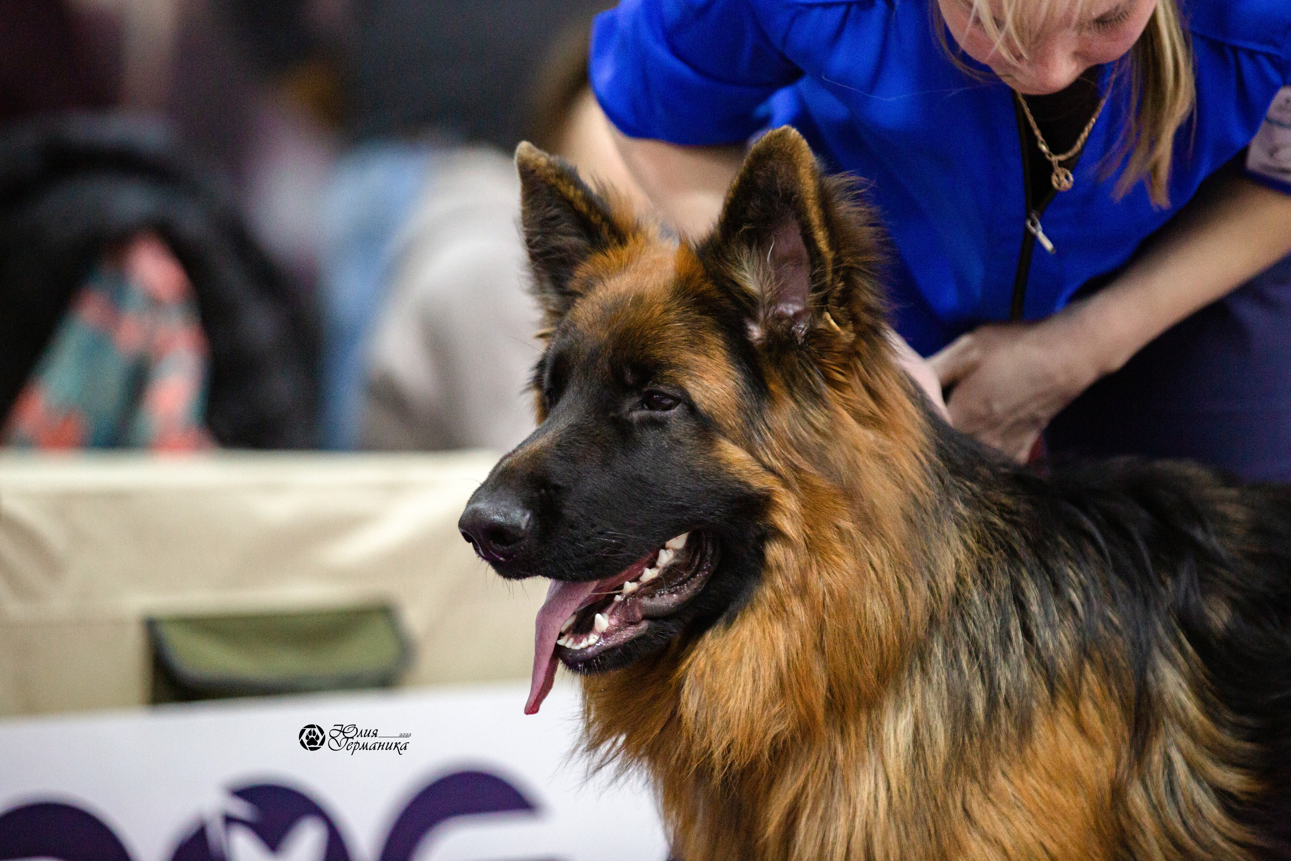 Чайна-Таун 12-13 февраля 2022. Фотограф-анималист Юлия Германика