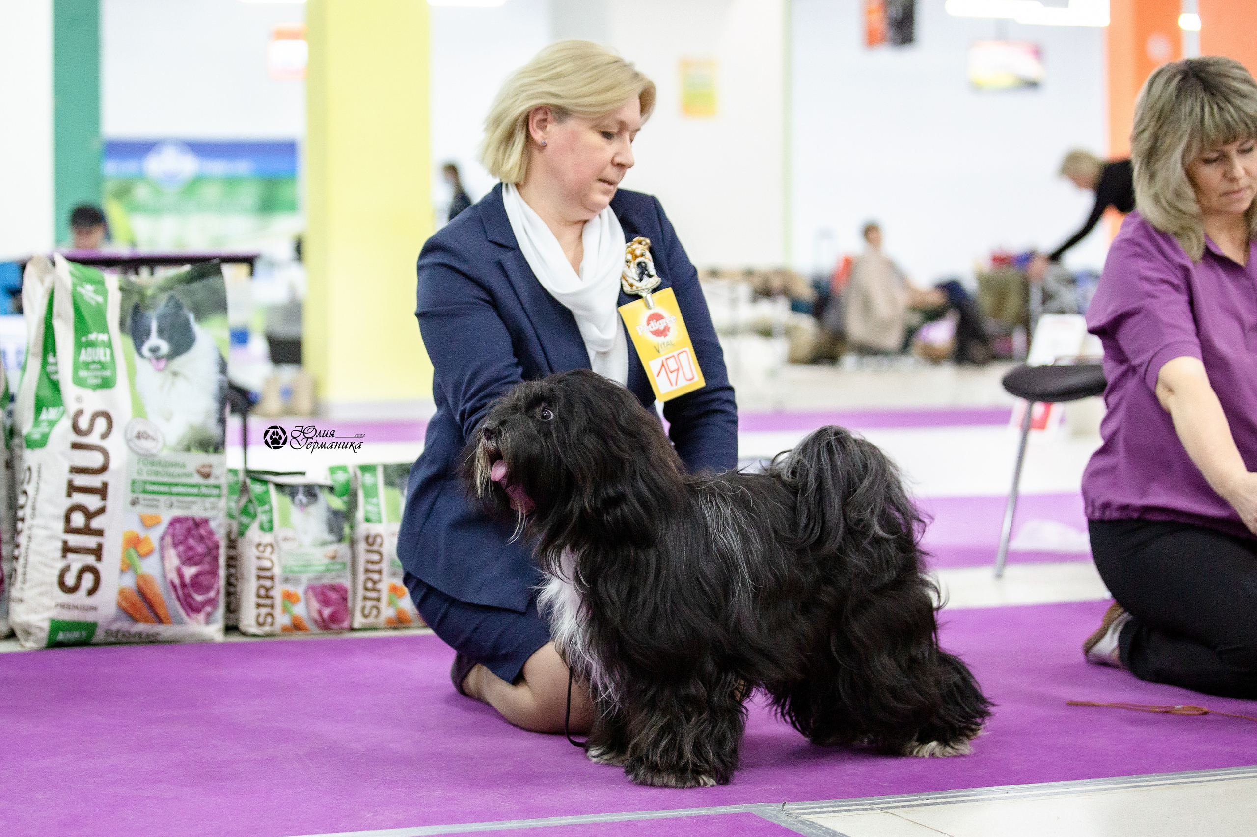 Чайна-Таун 29-30 января 2022. Фотограф-анималист Юлия Германика