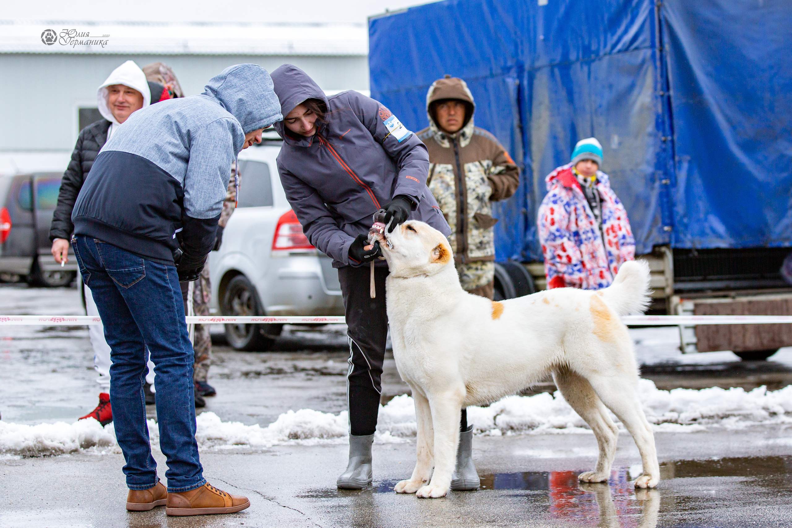 2хМОНО САО Рязань 02 апреля 2022. Фотограф-анималист Юлия Германика