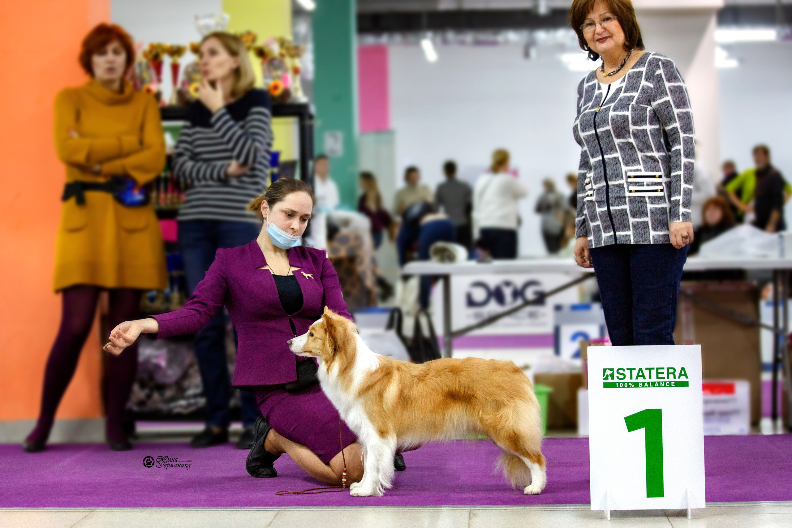 Чайна-Таун 23 февраля 2022. Фотограф-анималист Юлия Германика