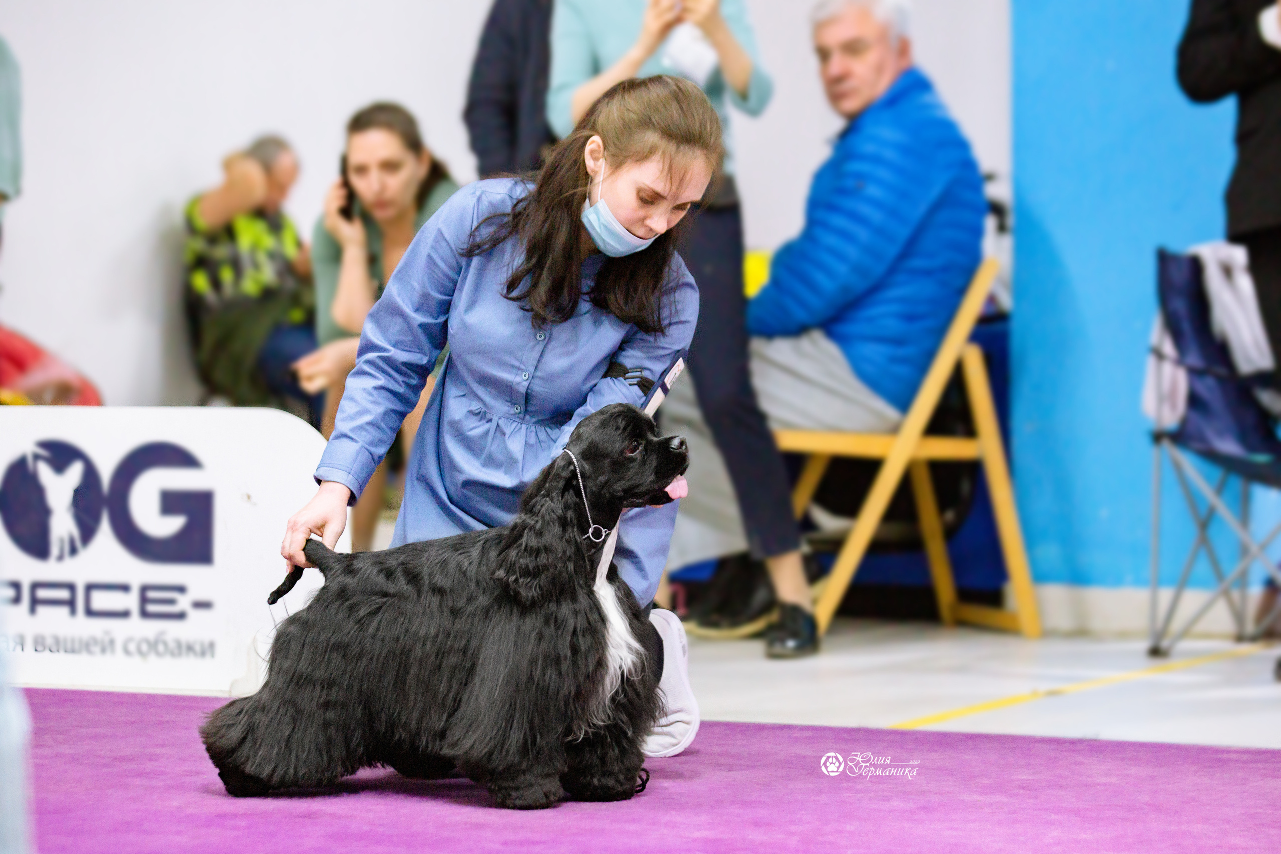 Чайна-Таун 13 и 20 марта 2022. Фотограф-анималист Юлия Германика