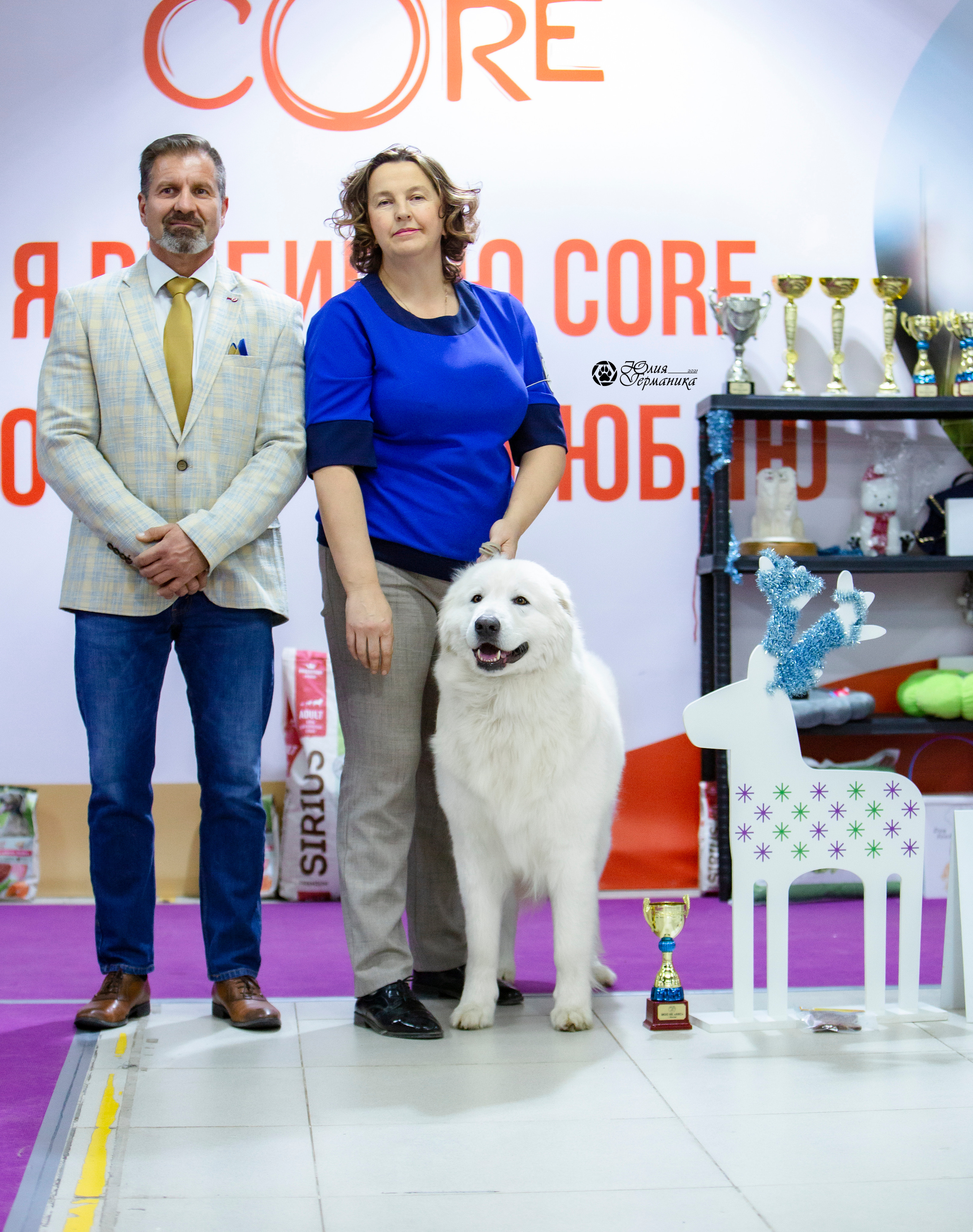 Чайна-Таун 18,26 и 29 декабря 2021. Фотограф-анималист Юлия Германика