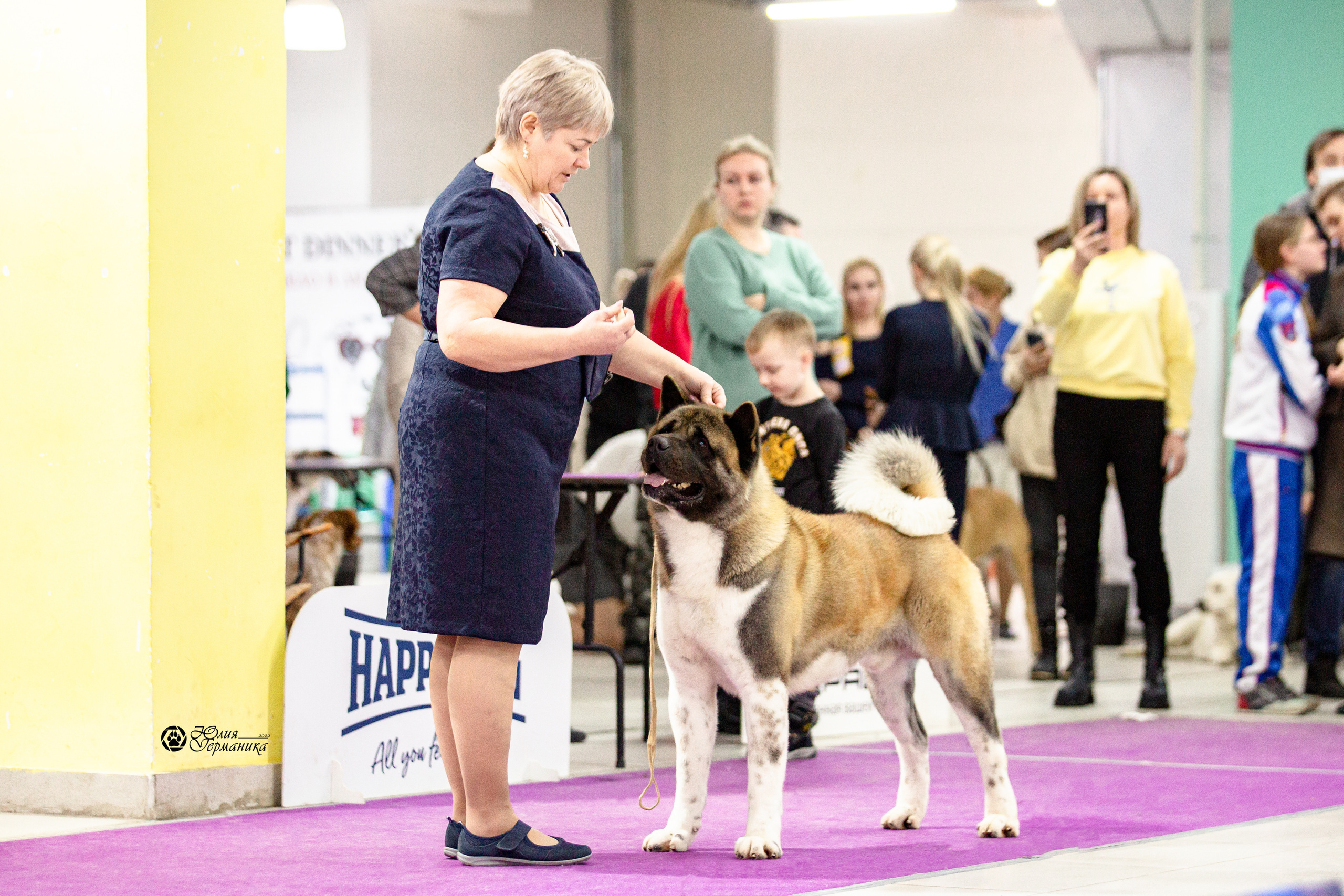 Чайна-Таун 29-30 января 2022. Фотограф-анималист Юлия Германика