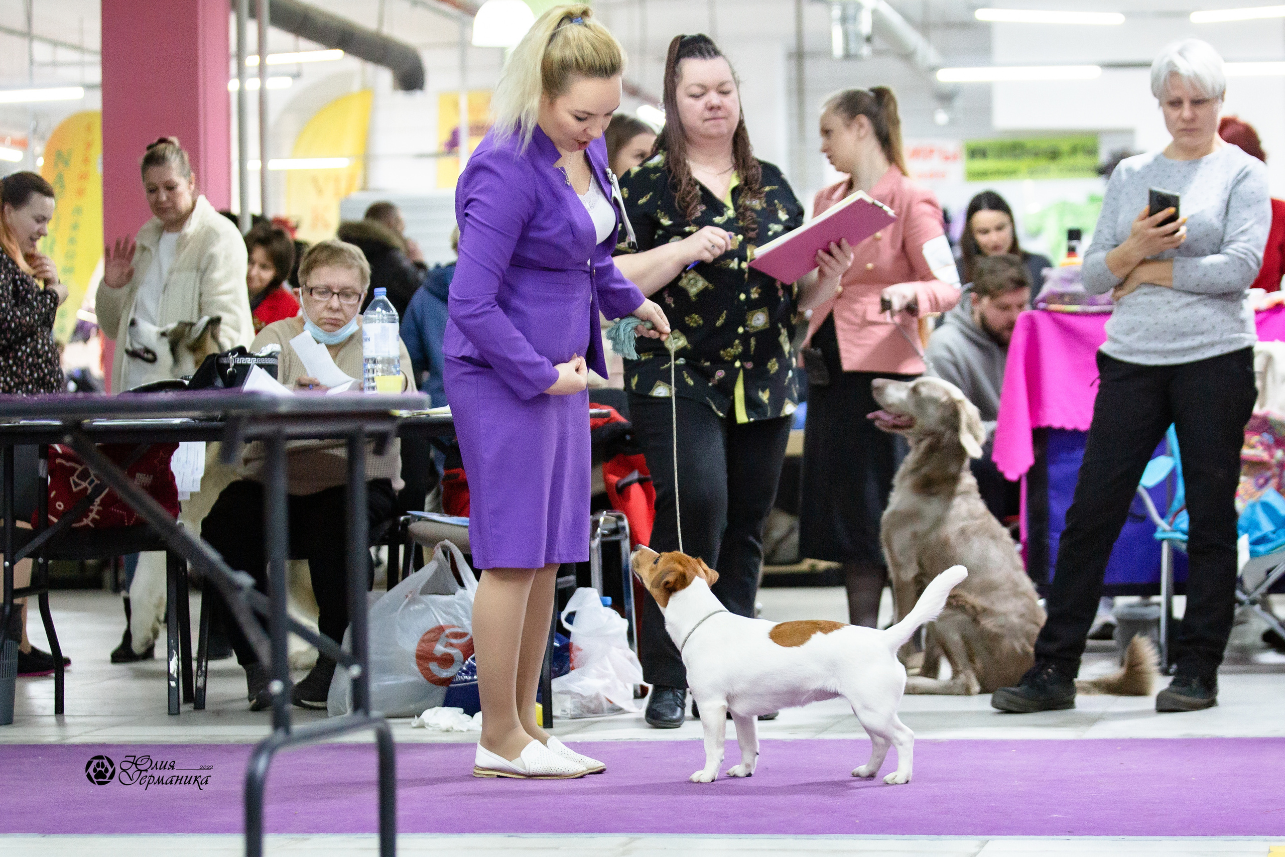 Чайна-Таун 12-13 февраля 2022. Фотограф-анималист Юлия Германика