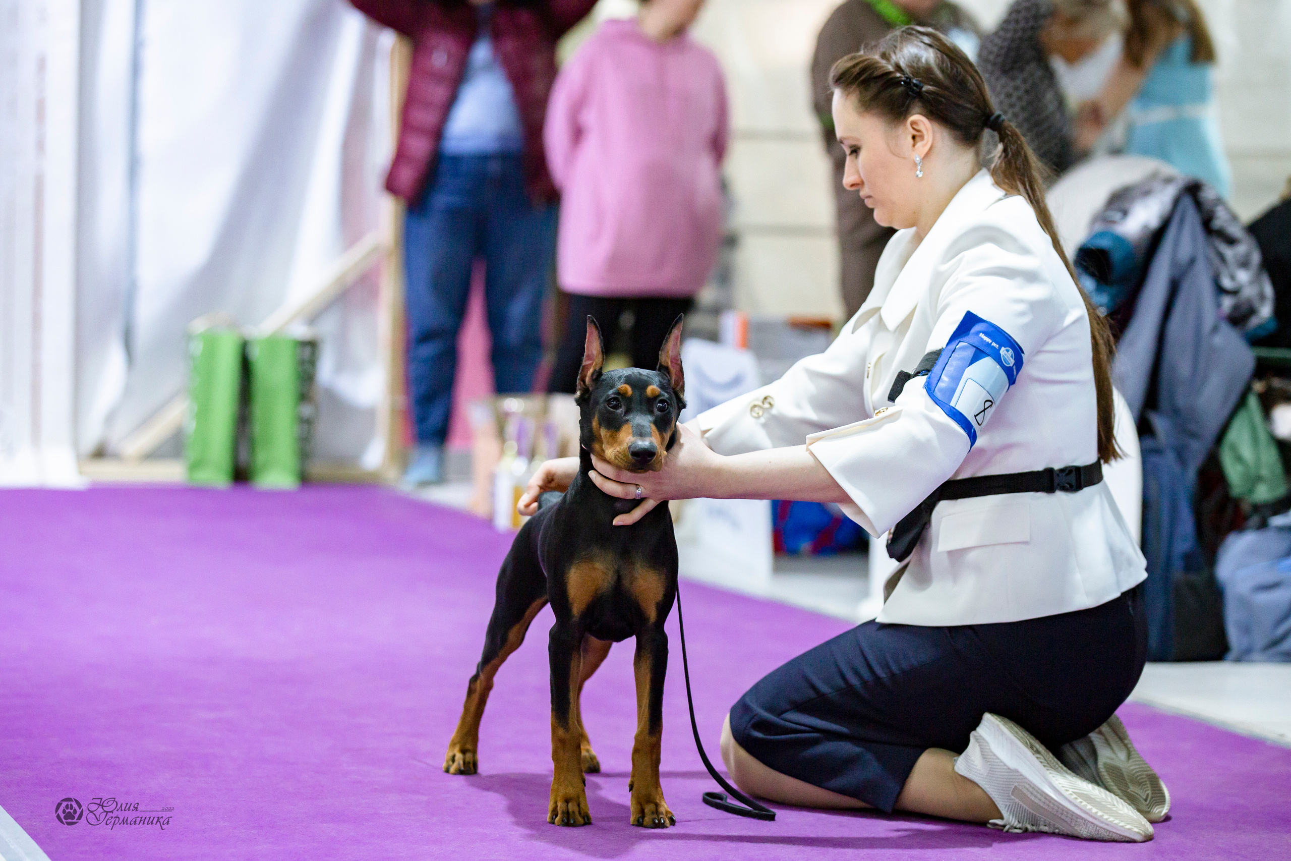 Чайна-Таун 24 и 27 марта 2022. Фотограф-анималист Юлия Германика