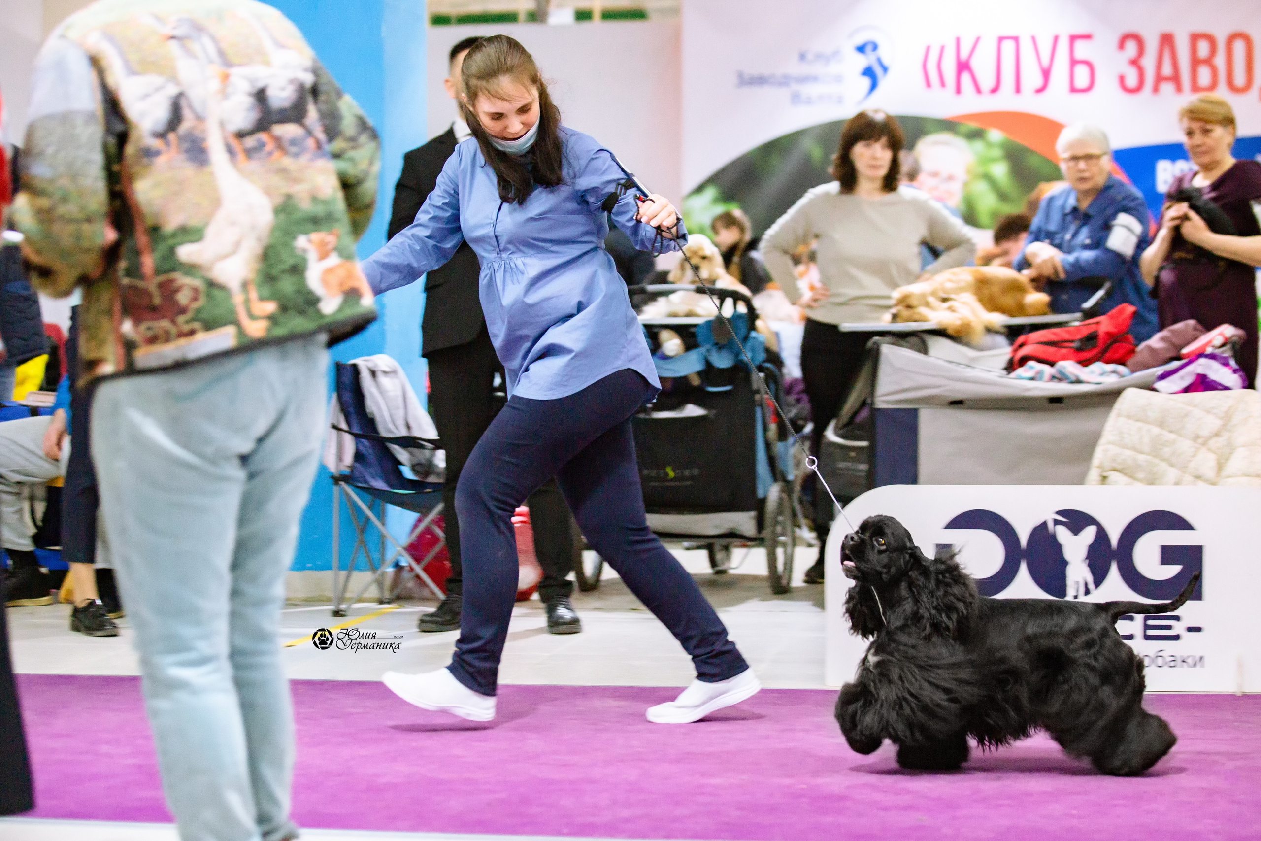 Чайна-Таун 13 и 20 марта 2022. Фотограф-анималист Юлия Германика