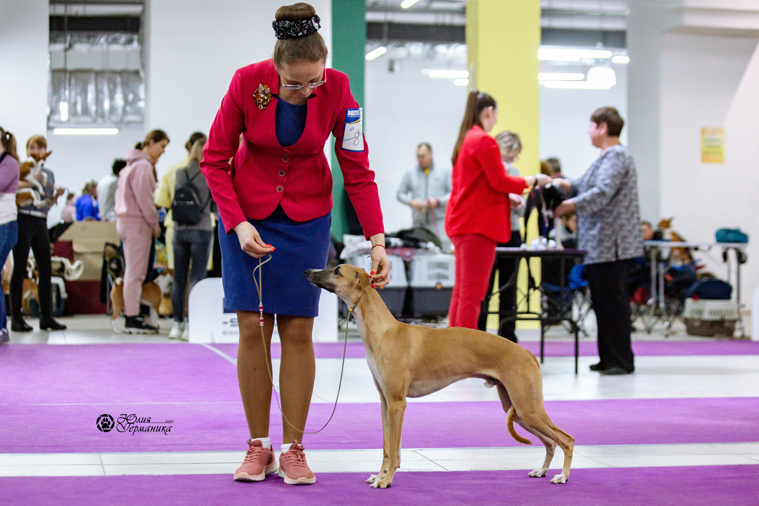 Чайна-Таун 13 и 20 марта 2022. Фотограф-анималист Юлия Германика