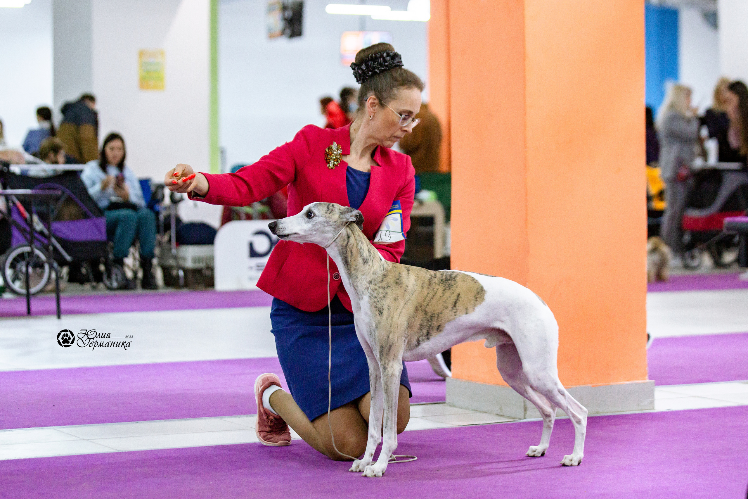 Чайна-Таун 13 и 20 марта 2022. Фотограф-анималист Юлия Германика