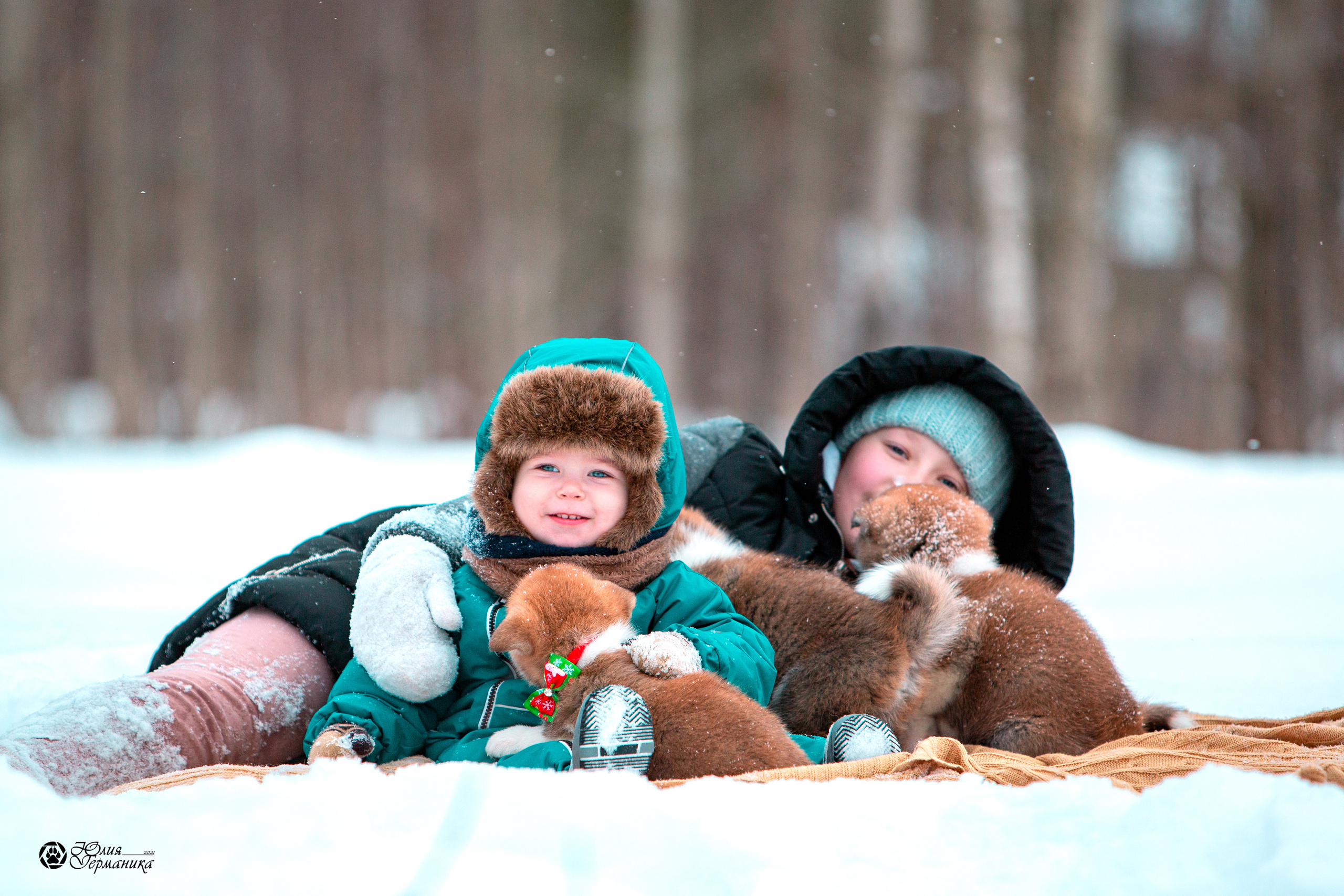 Свободная съемка. Фотограф-анималист Юлия Германика