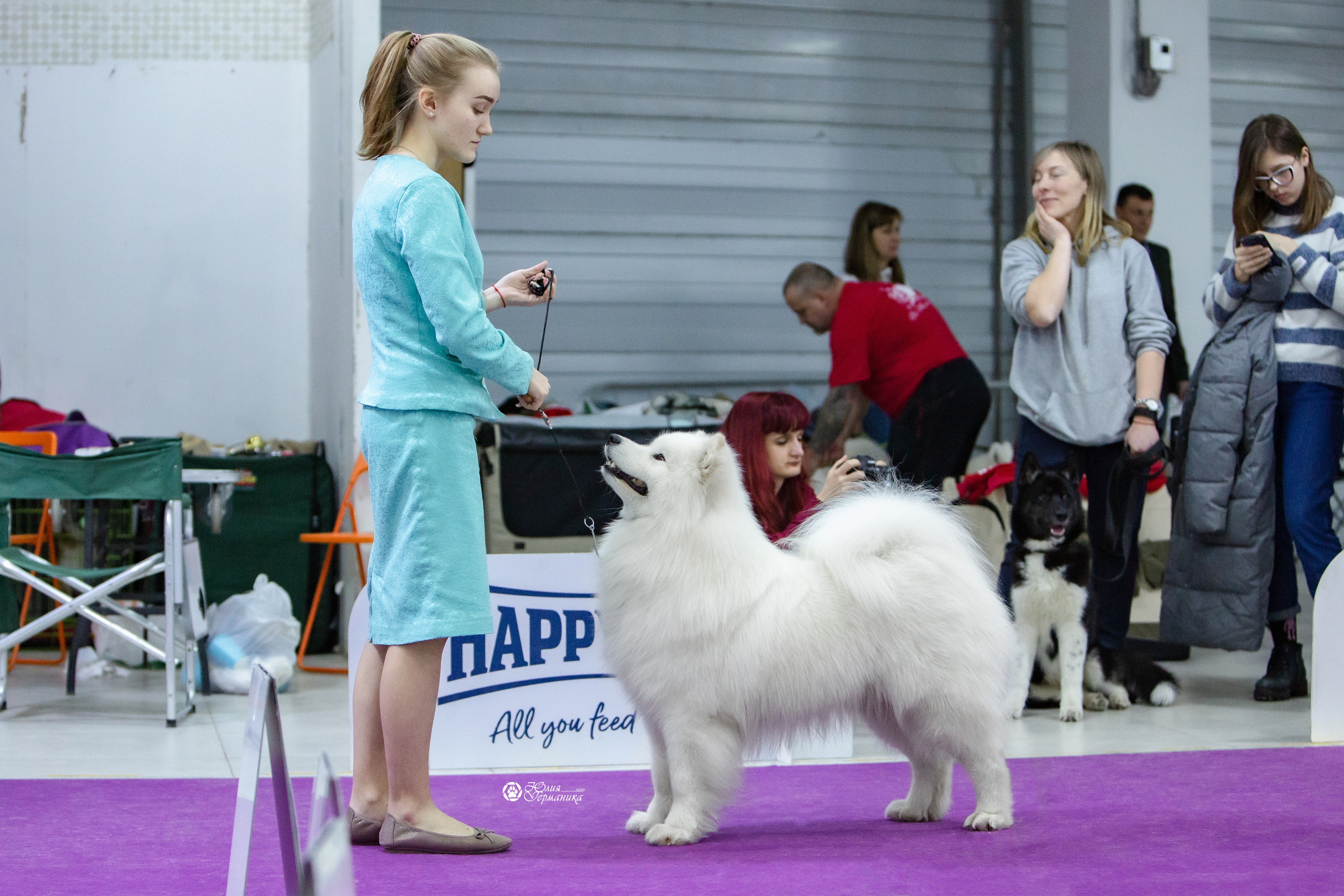 Чайна-Таун 18,26 и 29 декабря 2021. Фотограф-анималист Юлия Германика